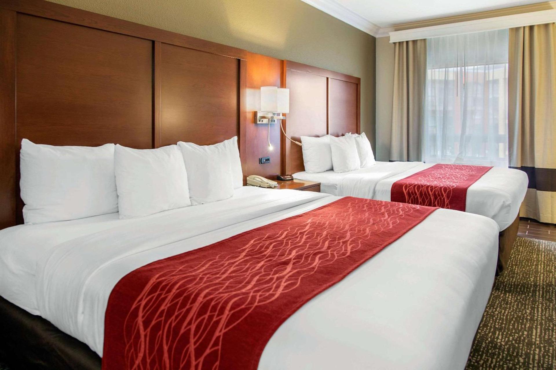 Comfort Inn & Suites San Francisco Airport North photo 6