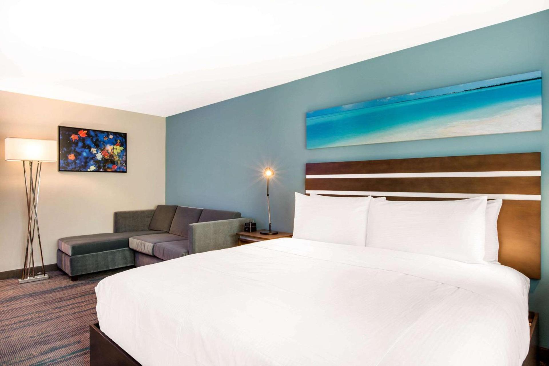 The Cove Hotel photo 19