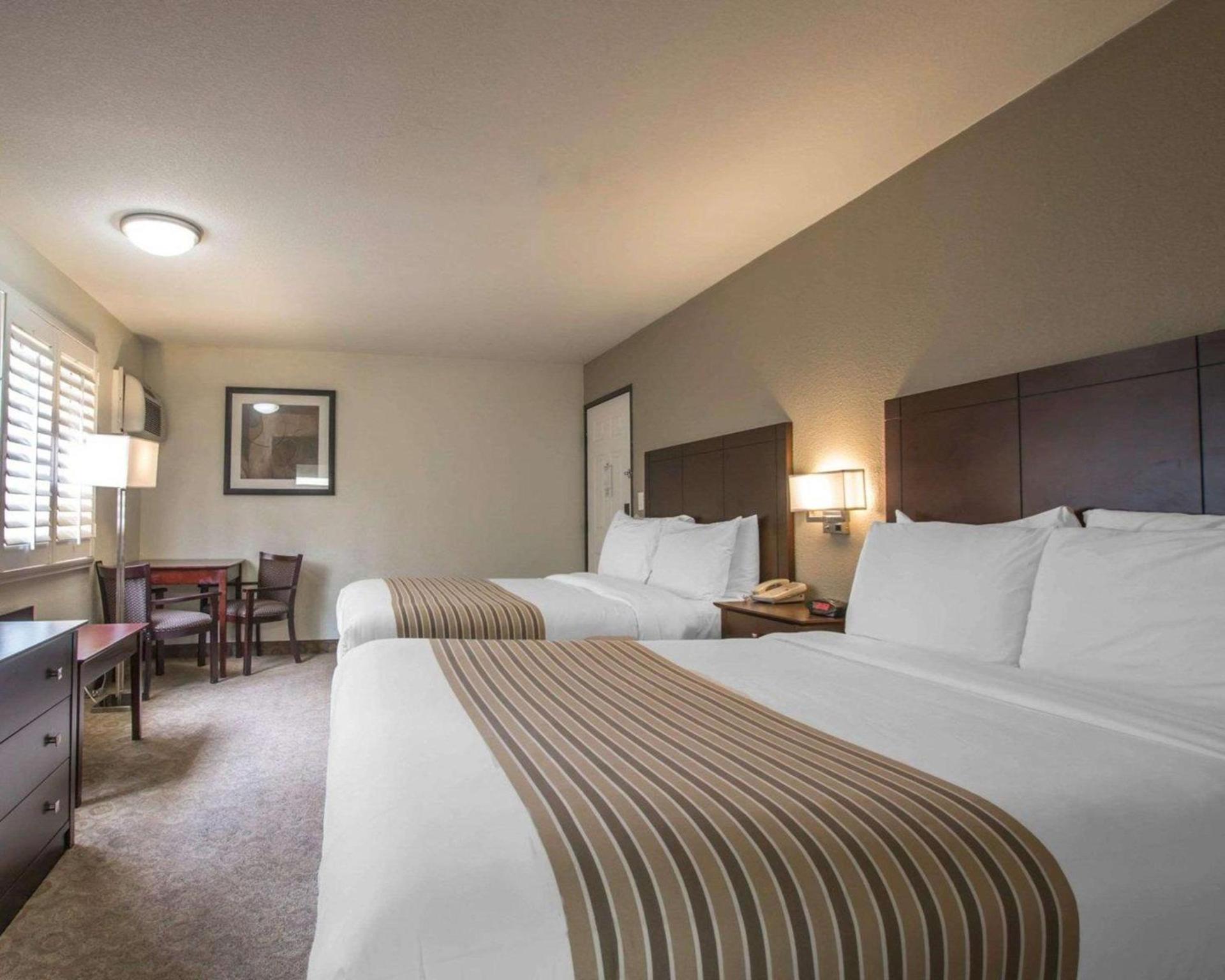 Rodeway Inn Convention Center photo 5