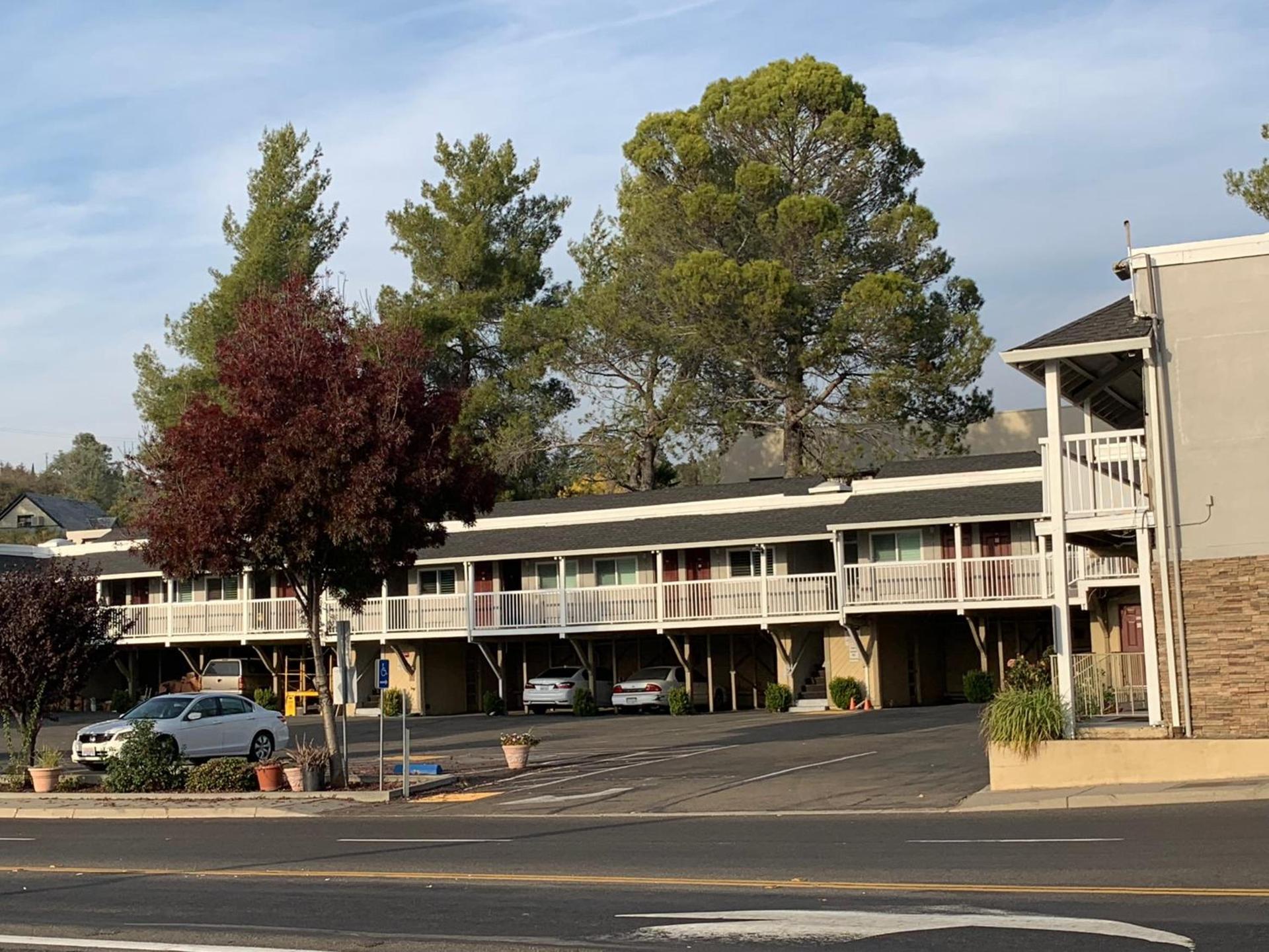 Elmwood Motel photo 6