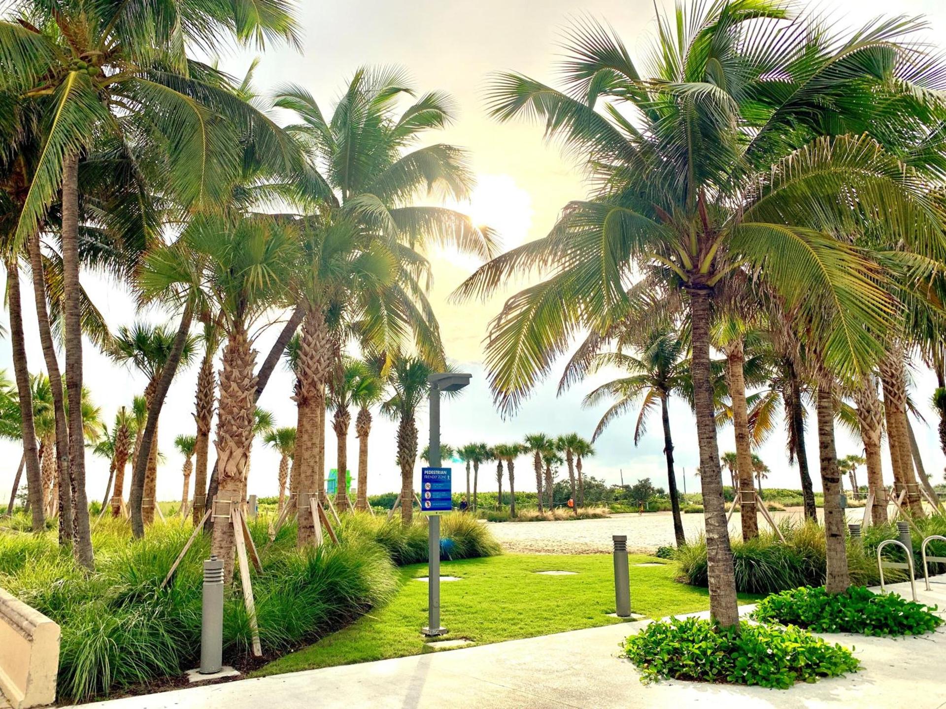 Broadmore Miami Beach photo 9