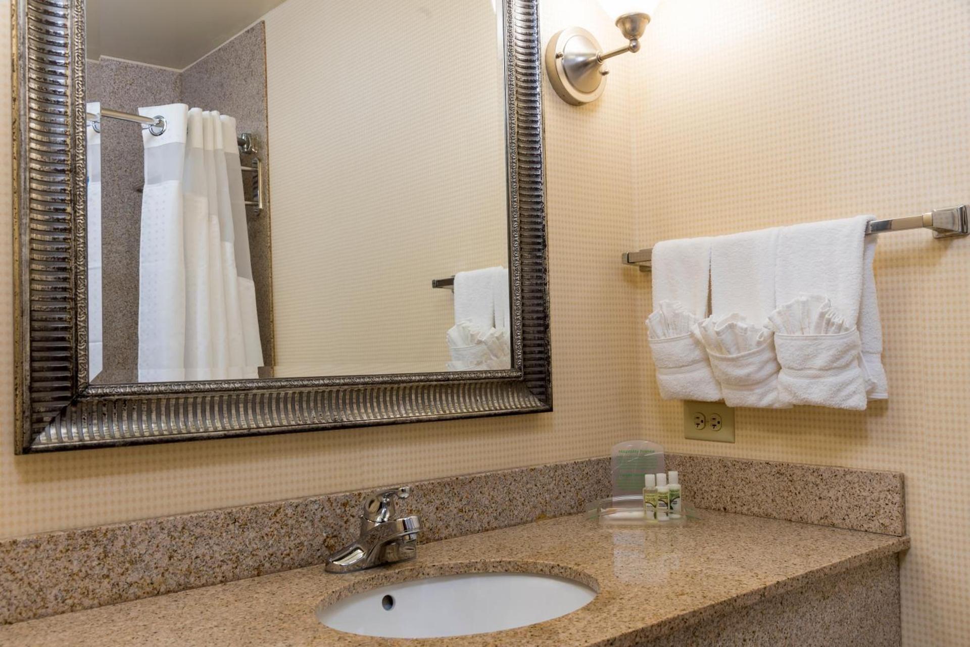Holiday Inn Aurora North - Naperville by IHG photo 6