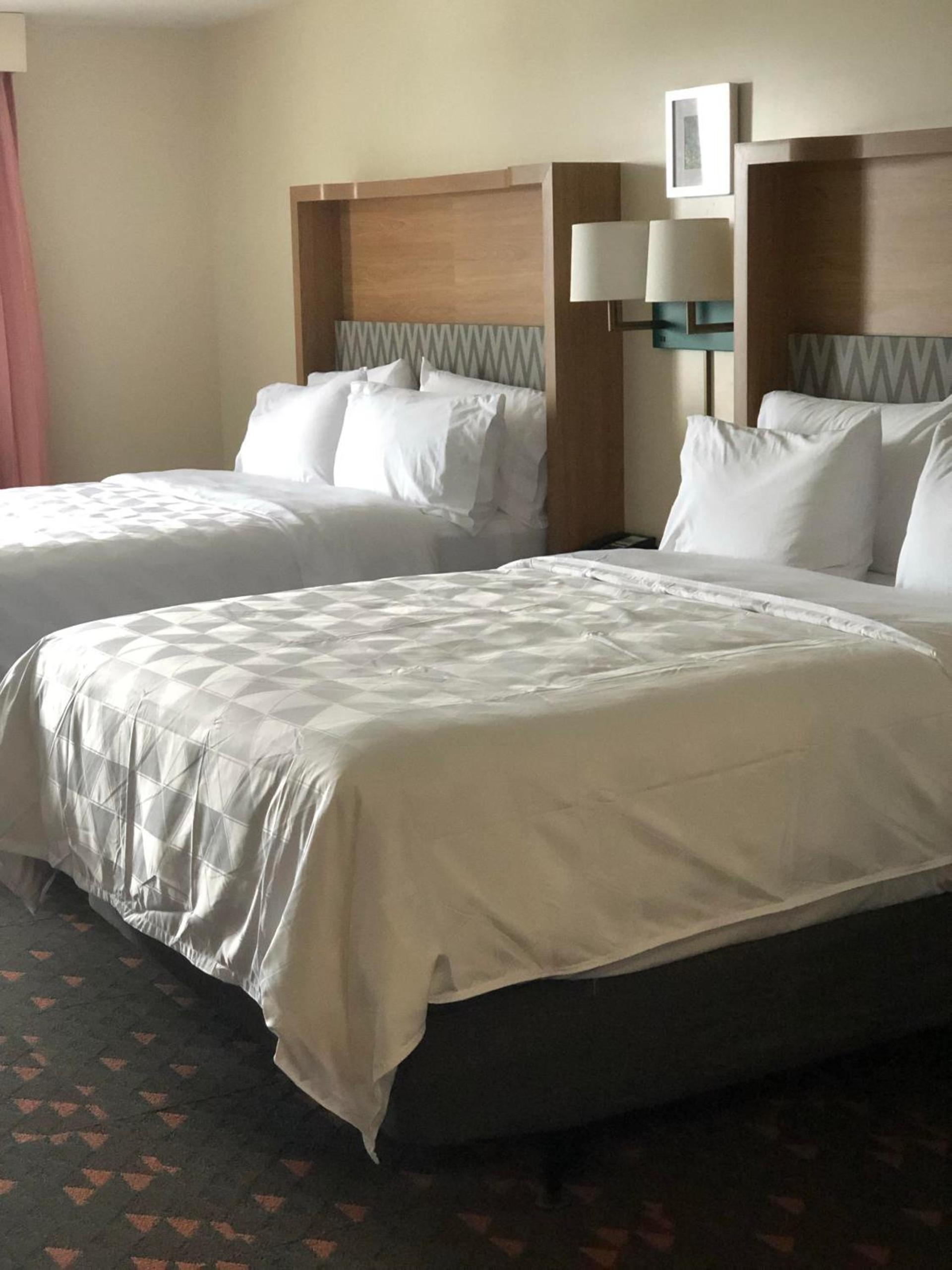 Holiday Inn Hotel & Suites - Mount Pleasant by IHG photo 4