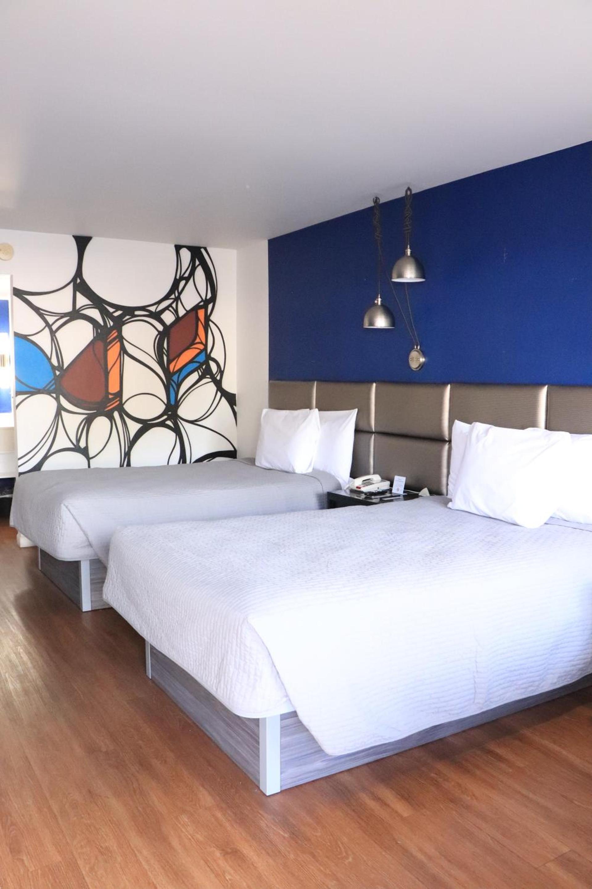 University Inn photo 38