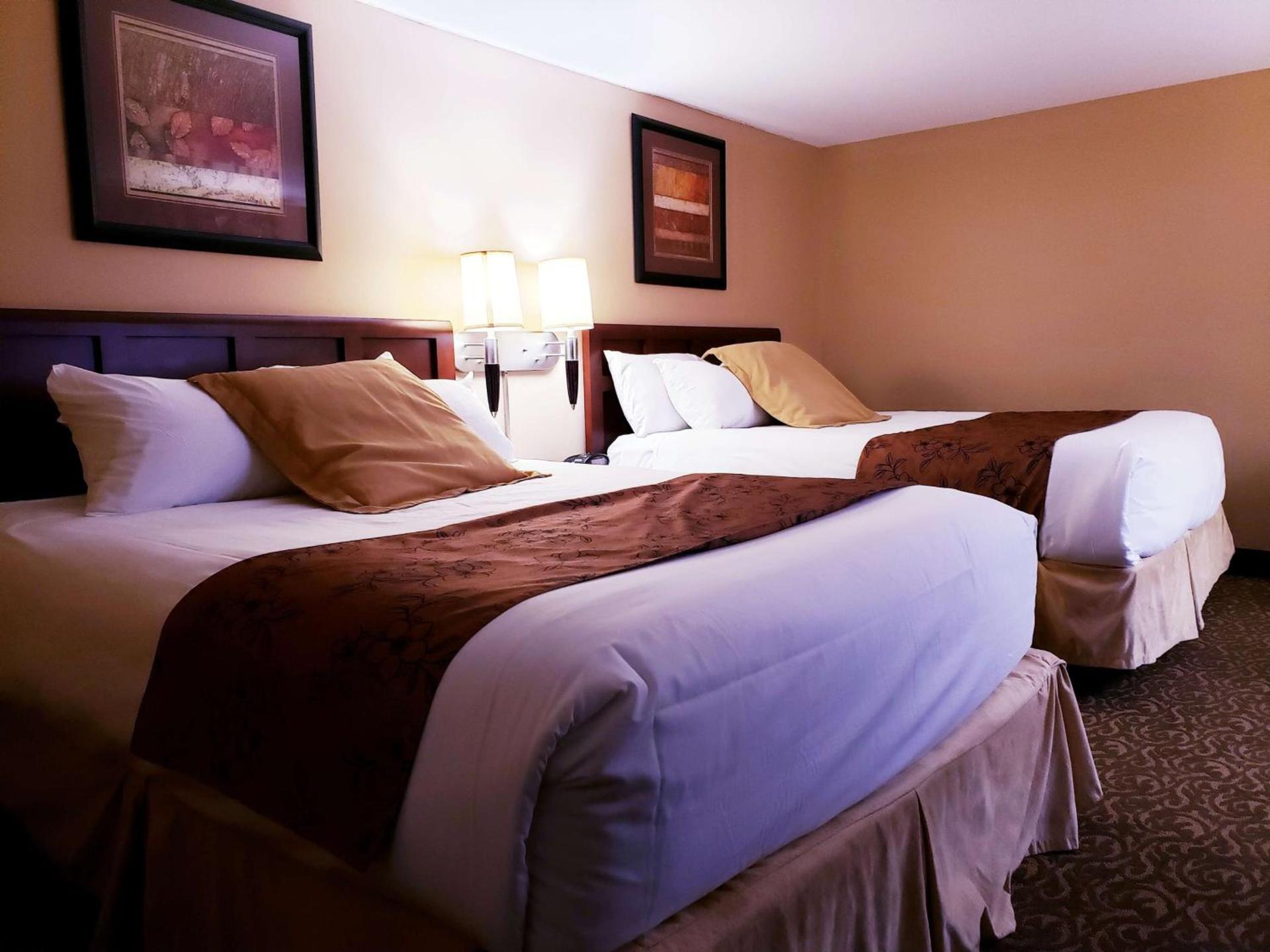 Quality Inn & Suites Black River Falls I-94 photo 4