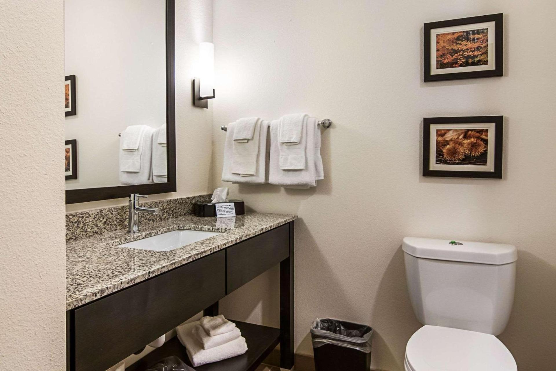 Comfort Suites Wooster near University Campus photo 30
