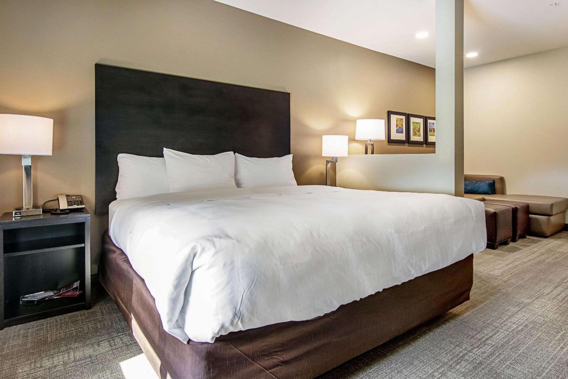 Comfort Suites Wooster near University Campus photo 18