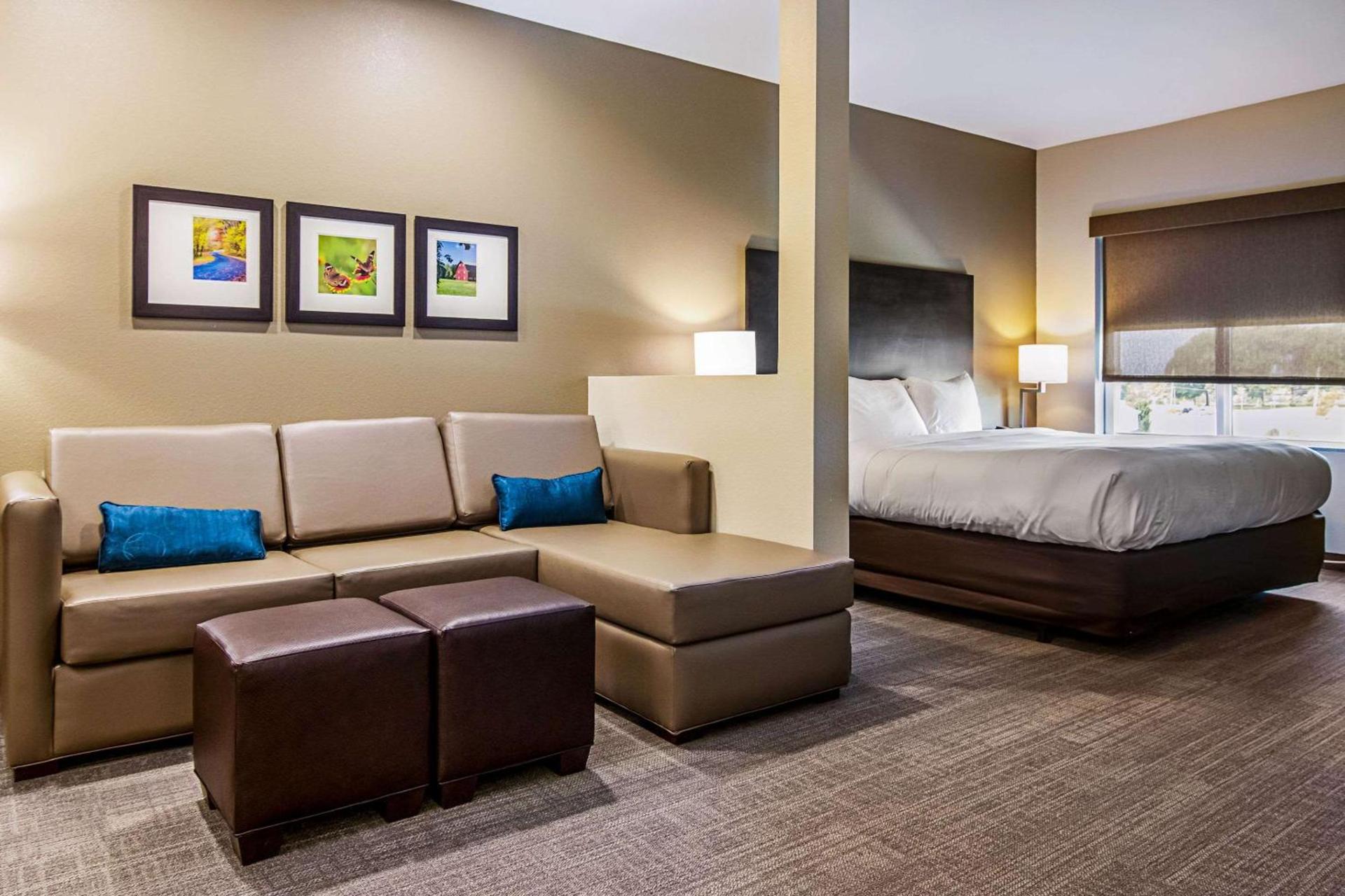 Comfort Suites Wooster near University Campus photo 11