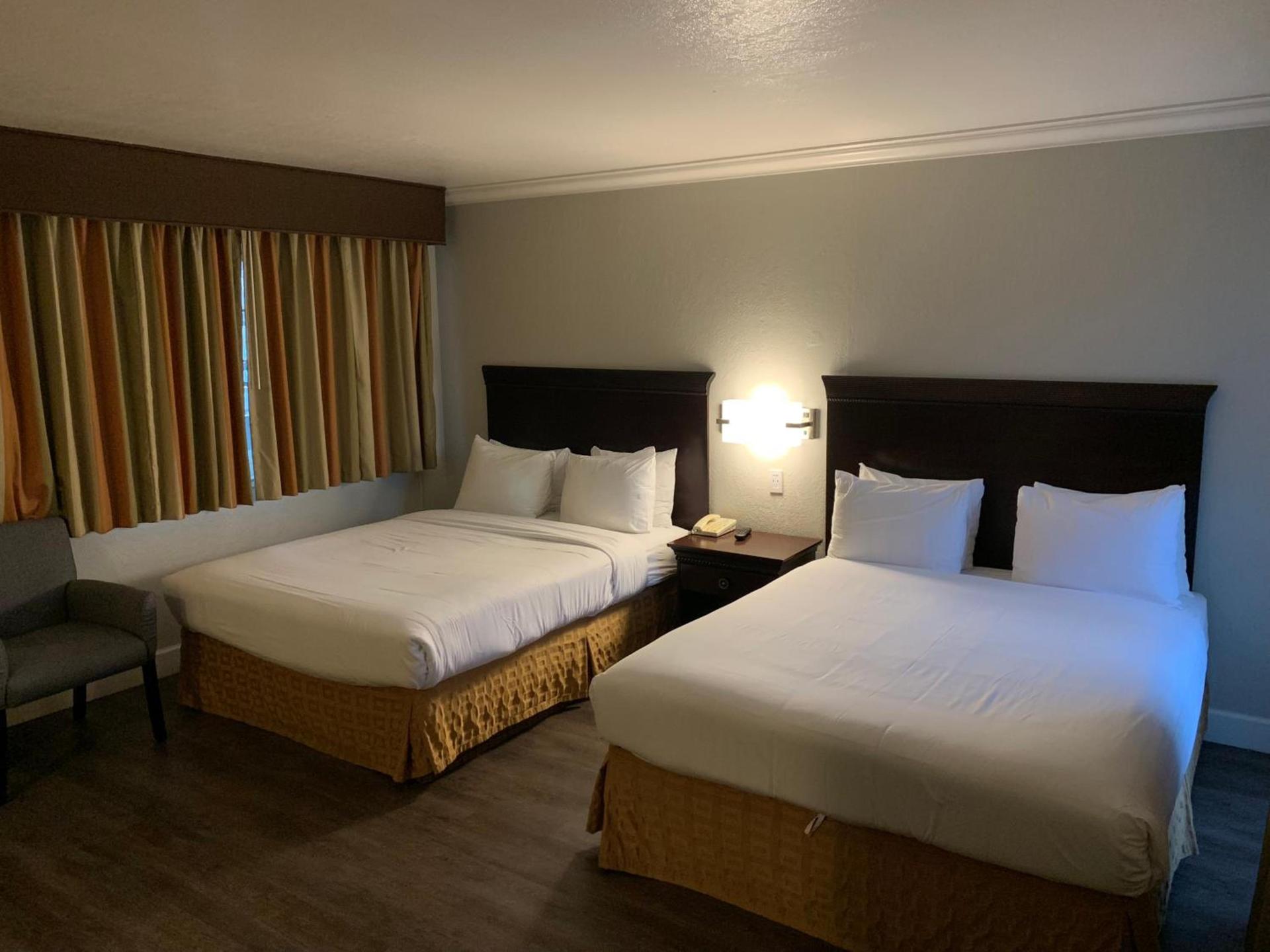 Stargazer Hotel photo 12