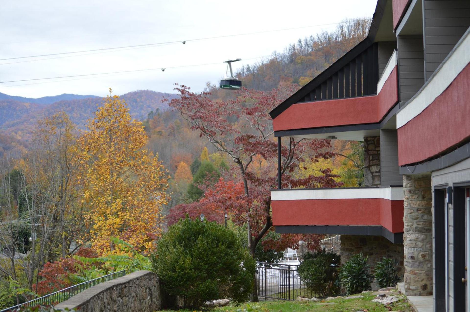 Fabulous Chalet Inn photo 2