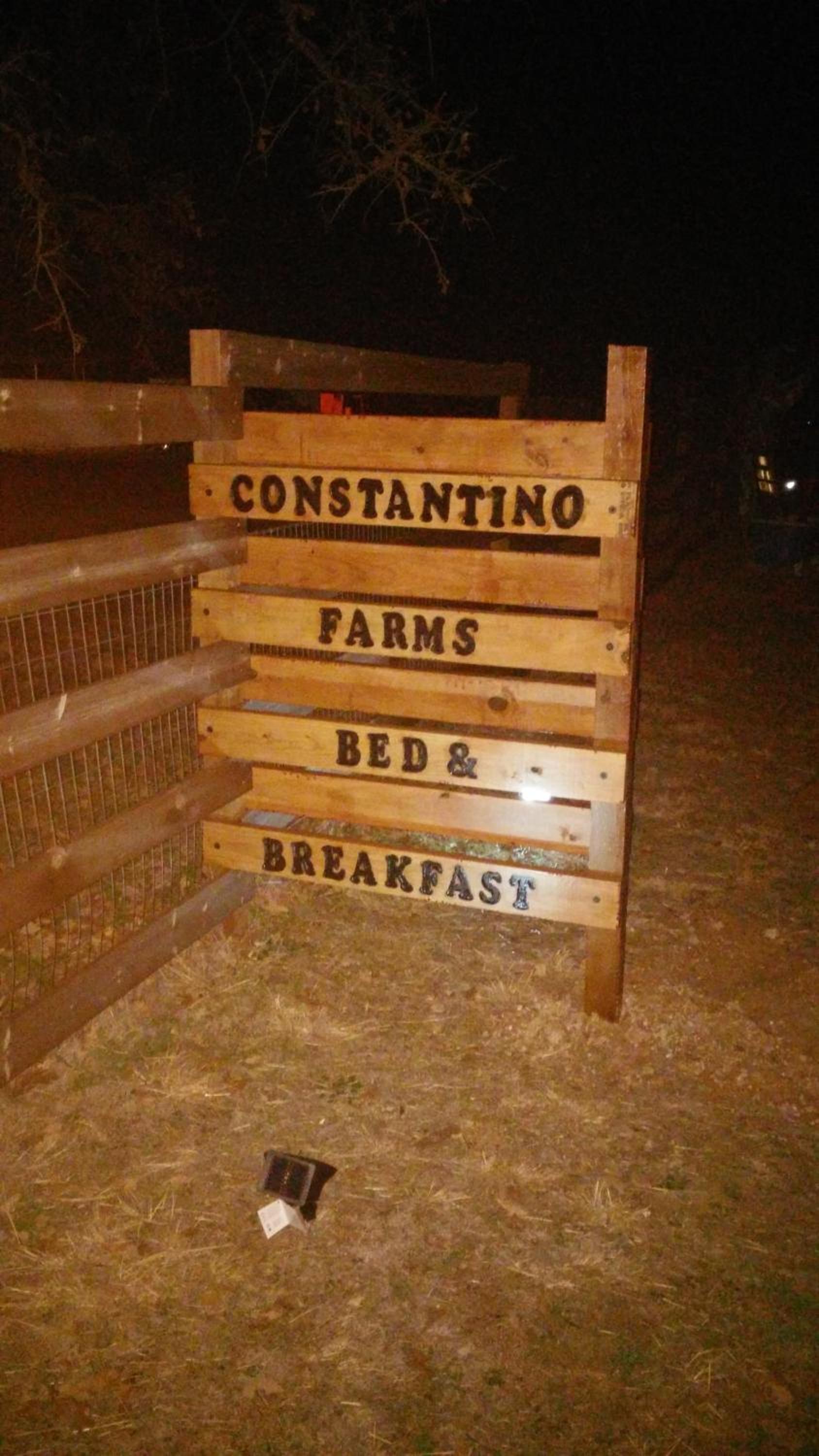 Constantino Farms photo 13