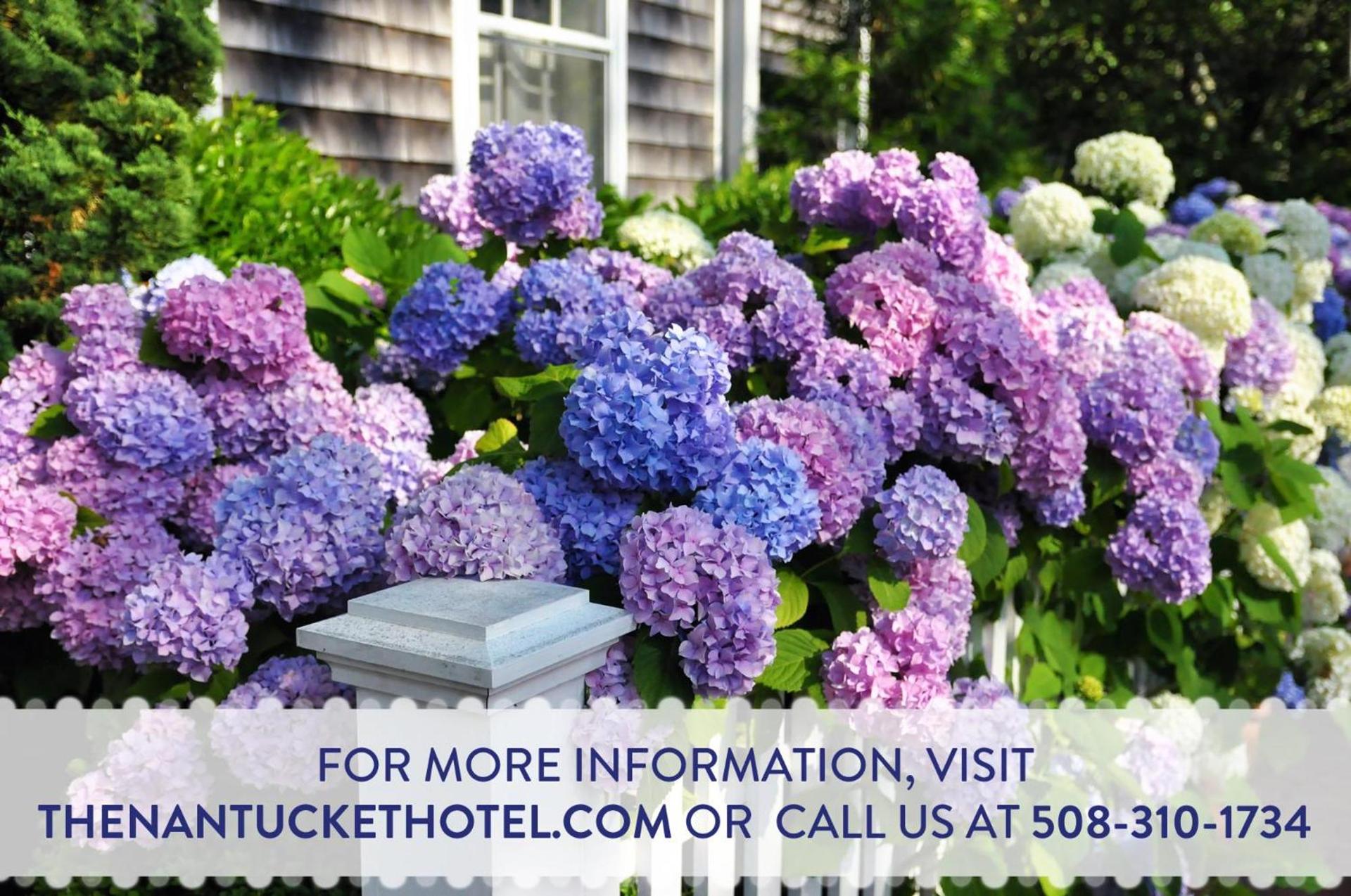 The Nantucket Hotel & Resort photo 35