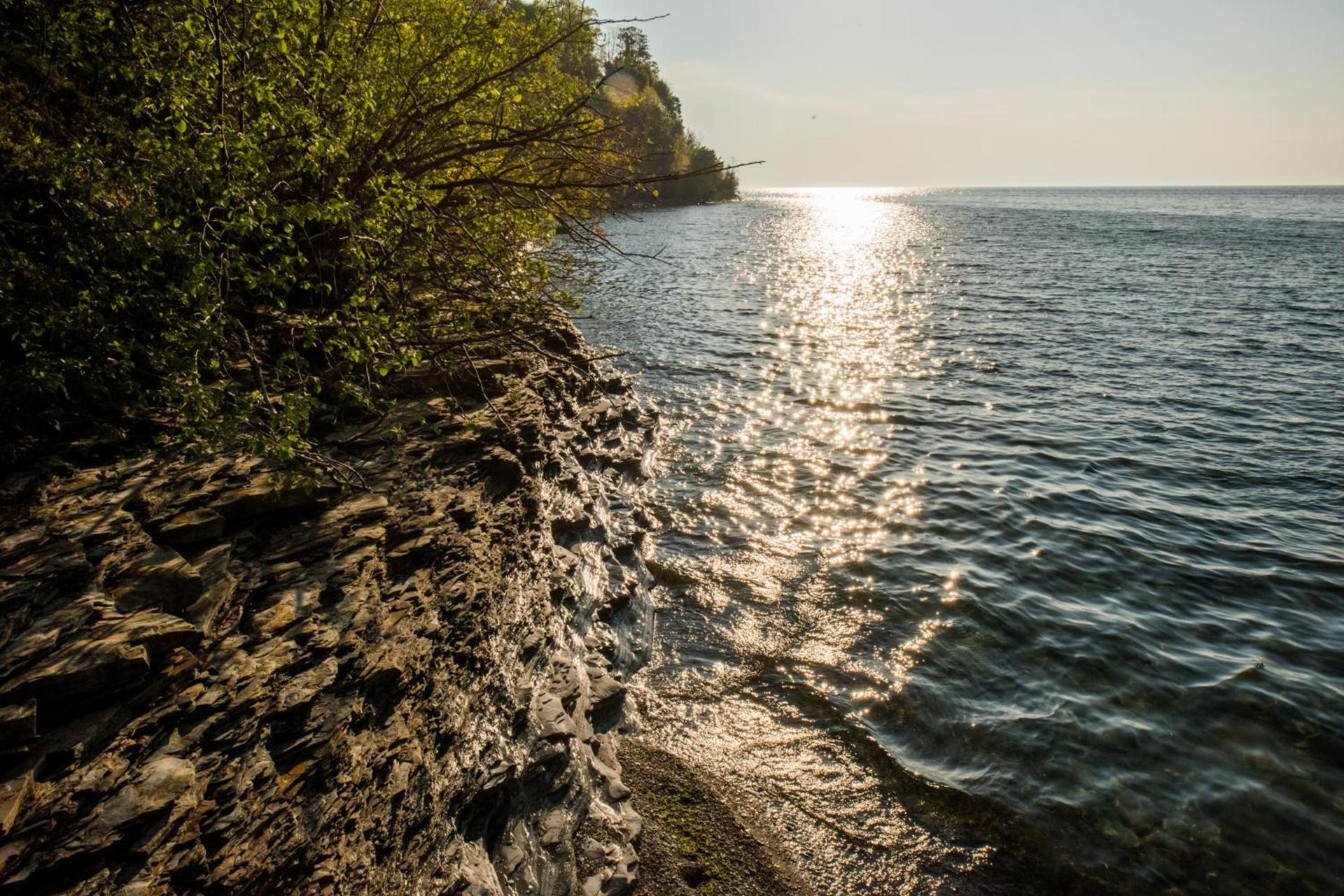 Lakeview on the Lake photo 18