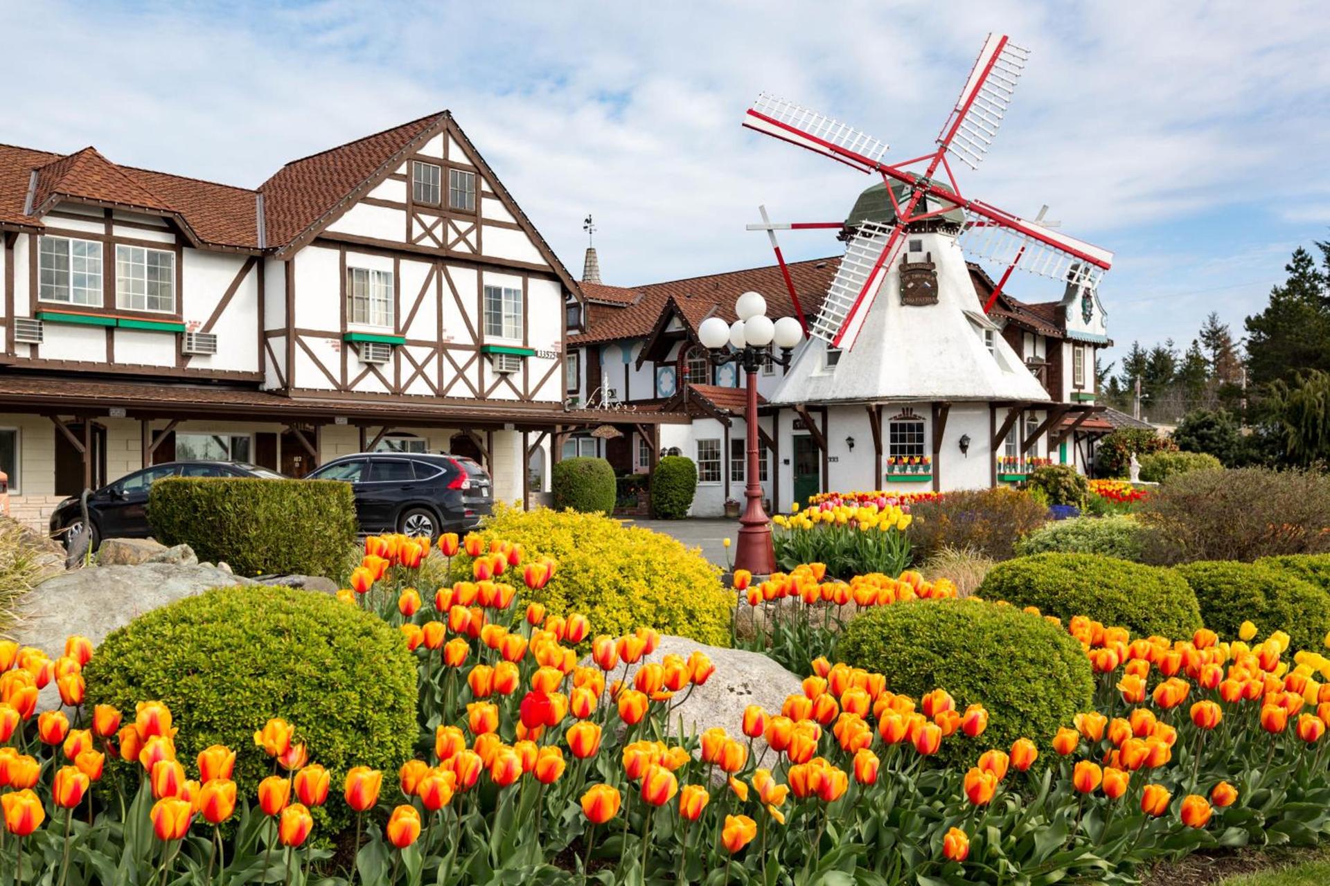 Auld Holland Inn photo 10