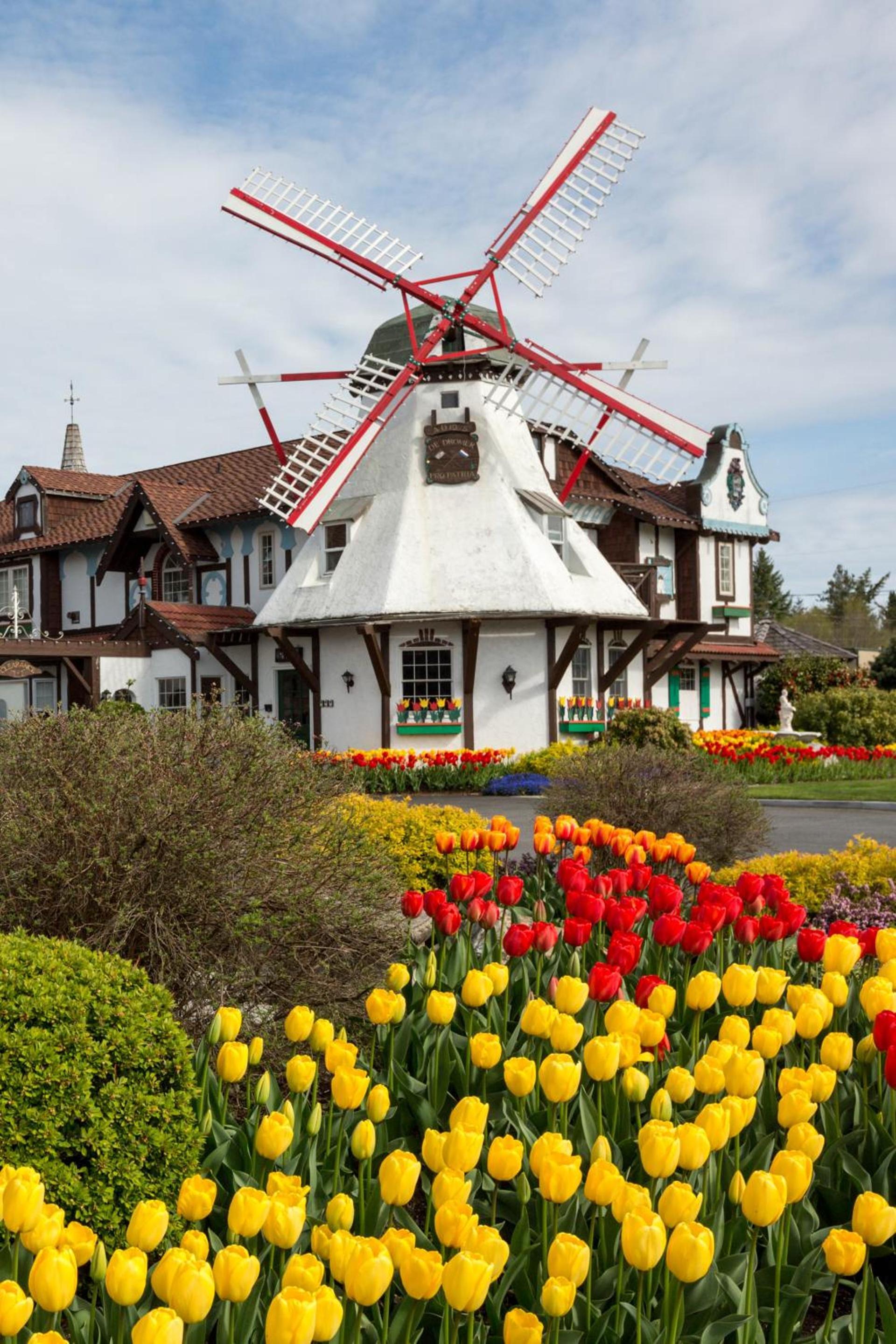 Auld Holland Inn photo 9