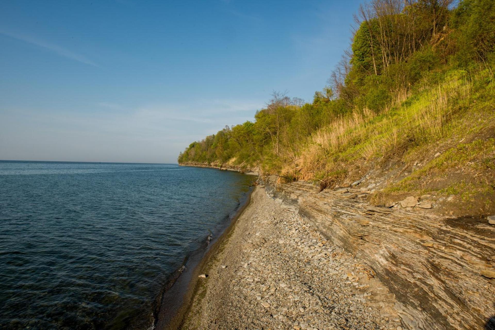 Lakeview on the Lake photo 15