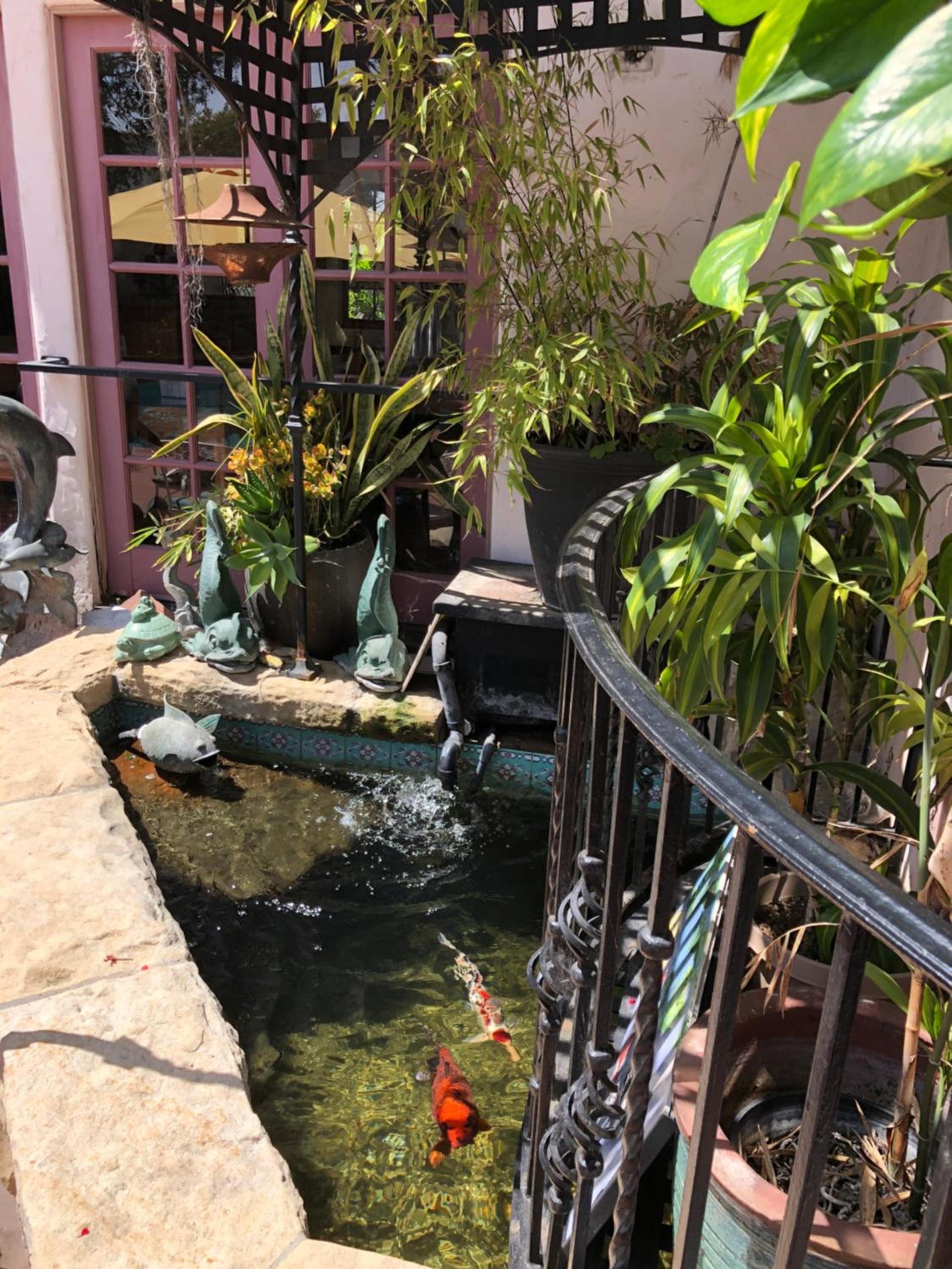 Villa Rosa Inn photo 88