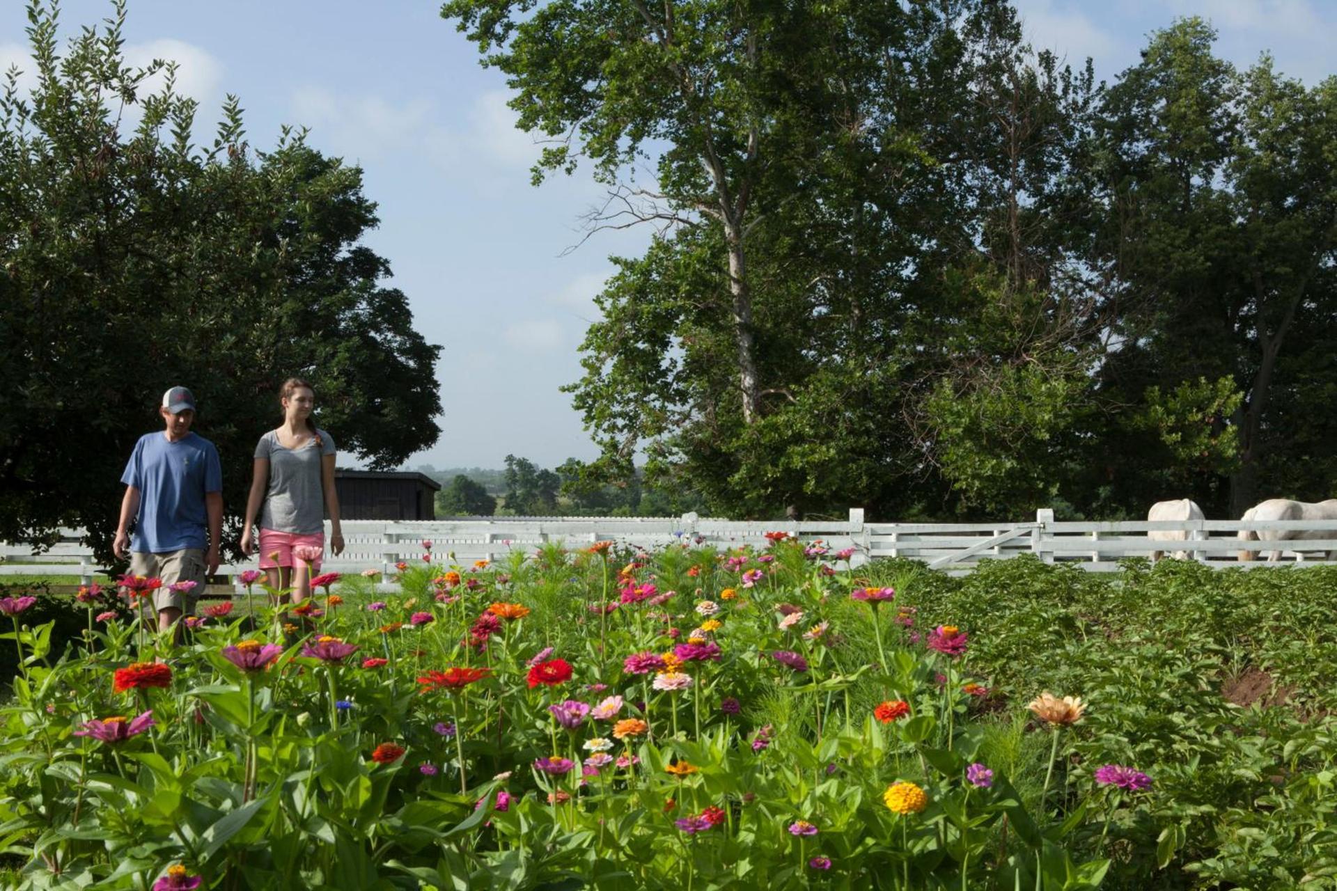 Shaker Village of Pleasant Hill photo 52