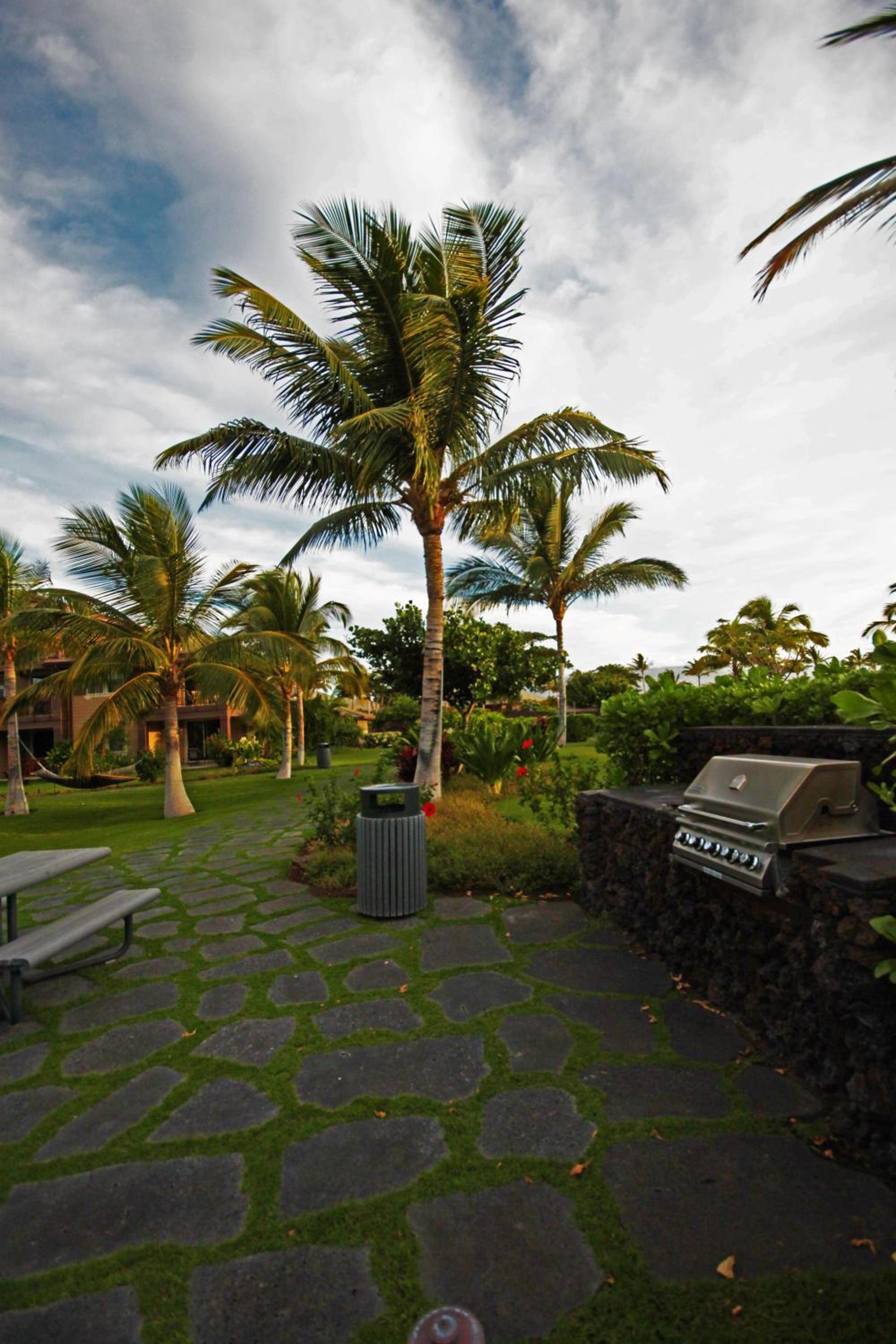 Castle Hali'i Kai at Waikoloa photo 79