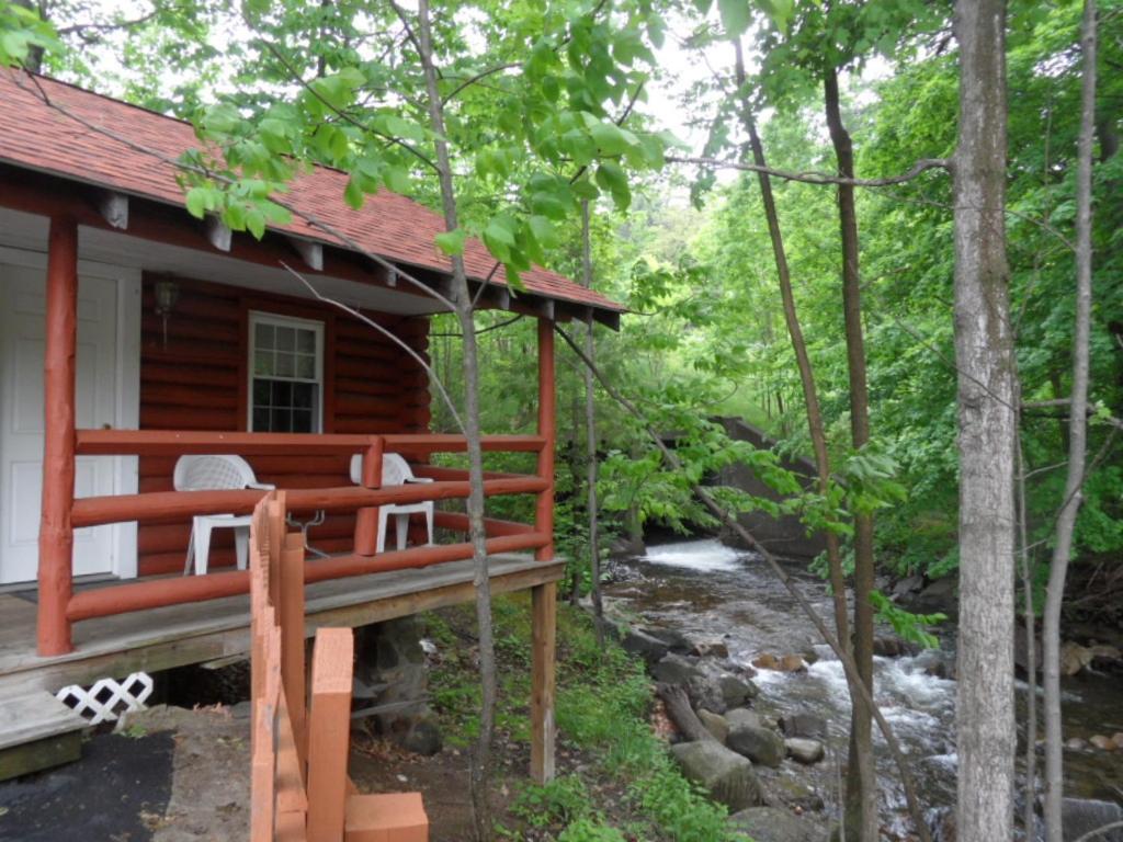 Seven Dwarfs Motel & Cabins photo 47