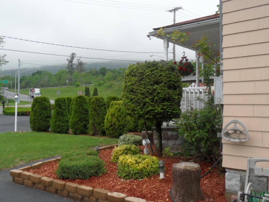 Seven Dwarfs Motel & Cabins photo 59