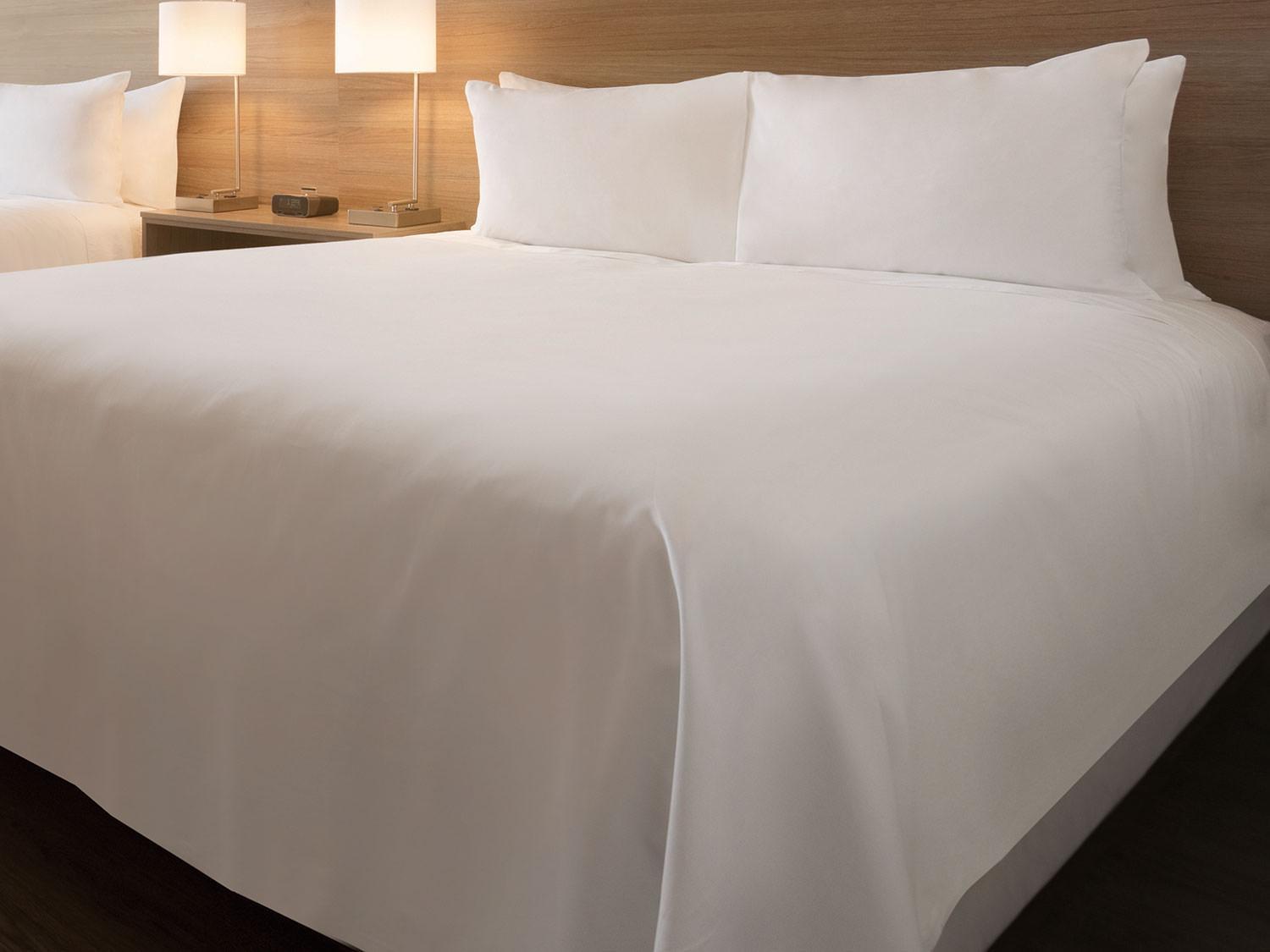 Hampton Inn By Hilton Addison Dallas photo 45