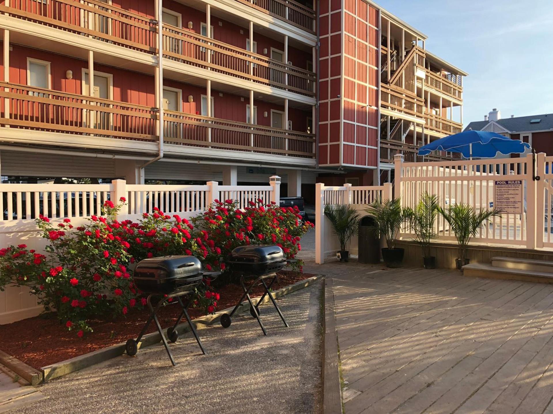 Surf Club Oceanfront Hotel photo 5
