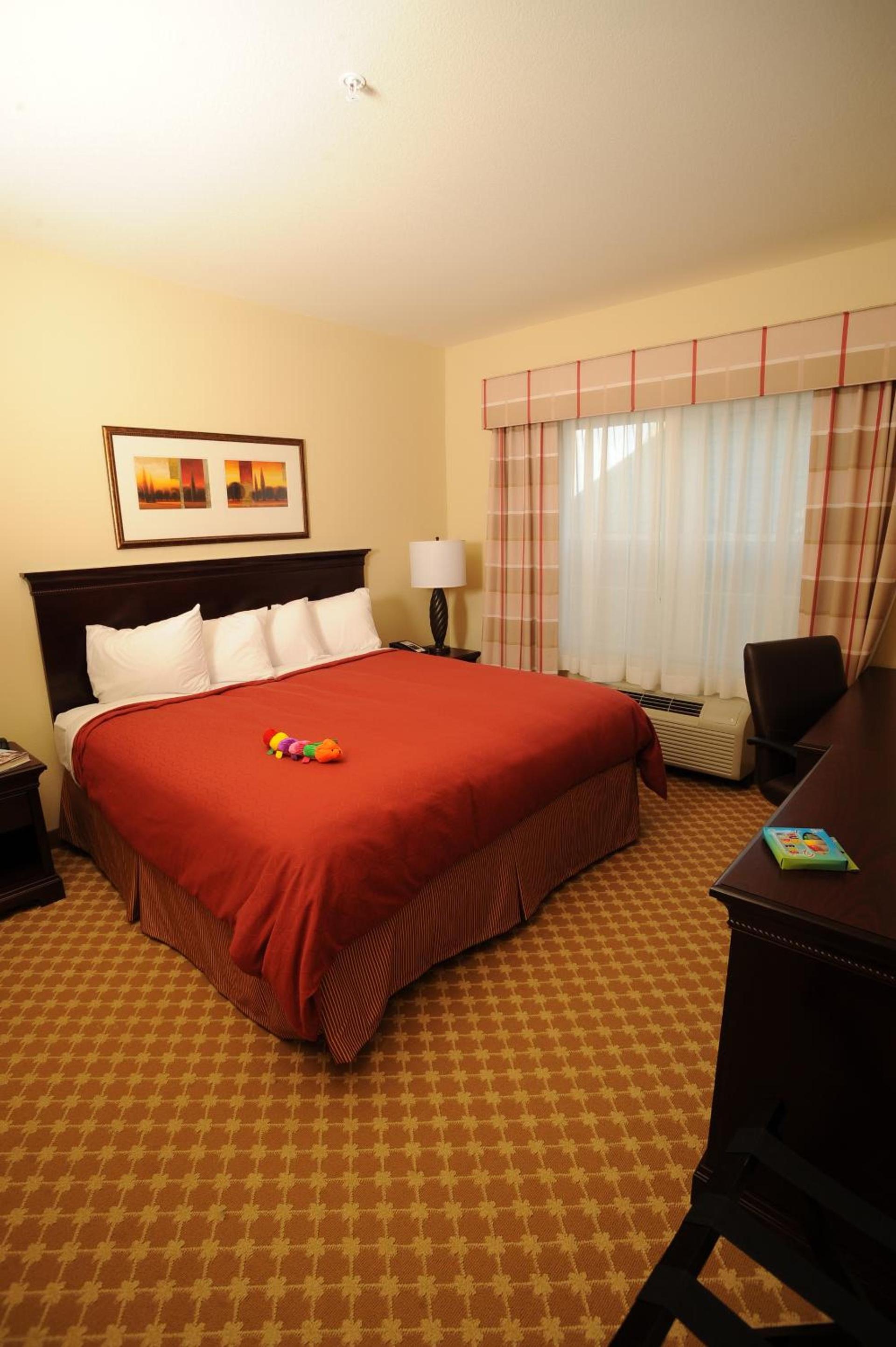 Comfort Inn & Suites Concord - Kannapolis photo 16