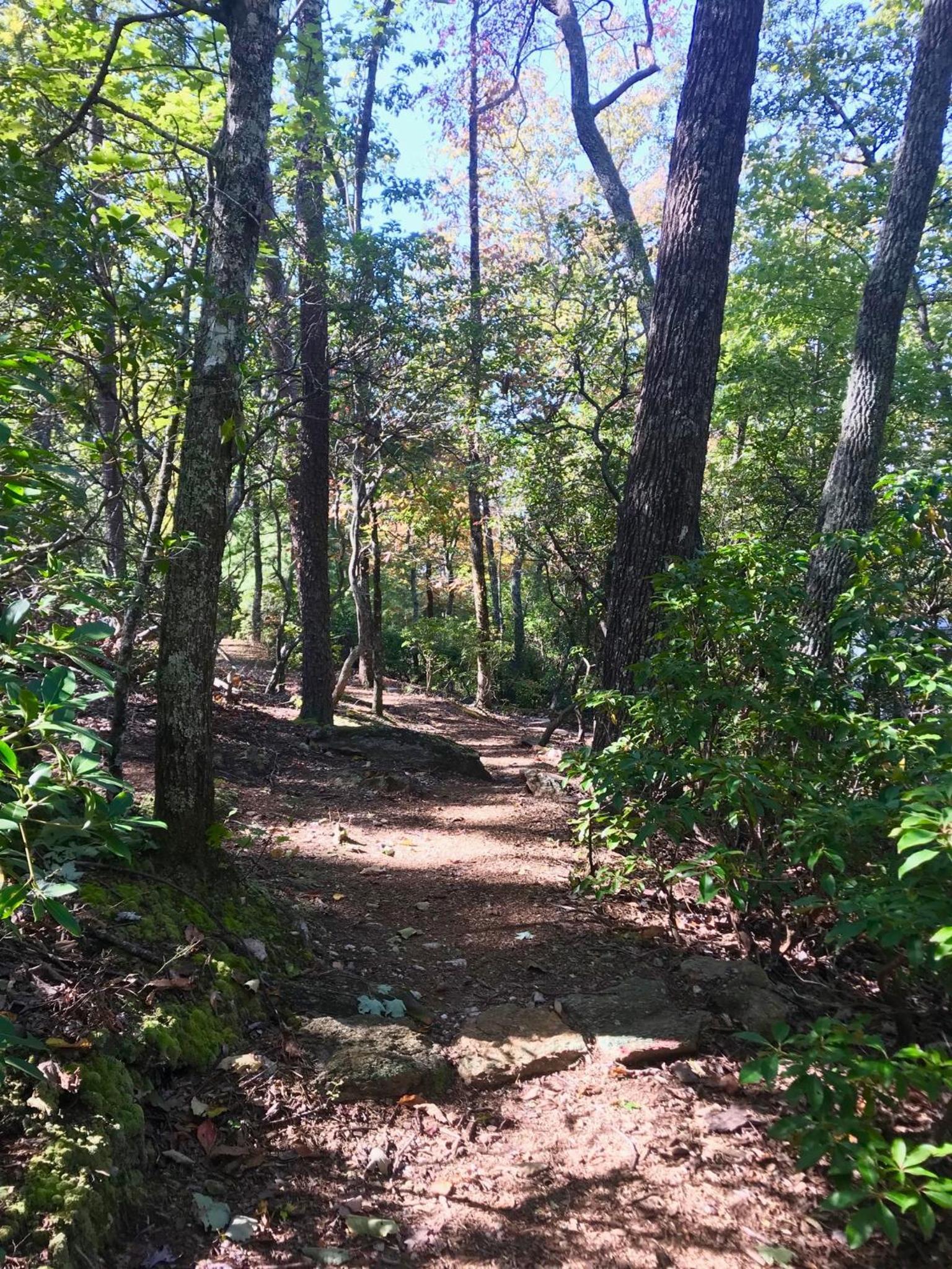 Barefoot Hills photo 67