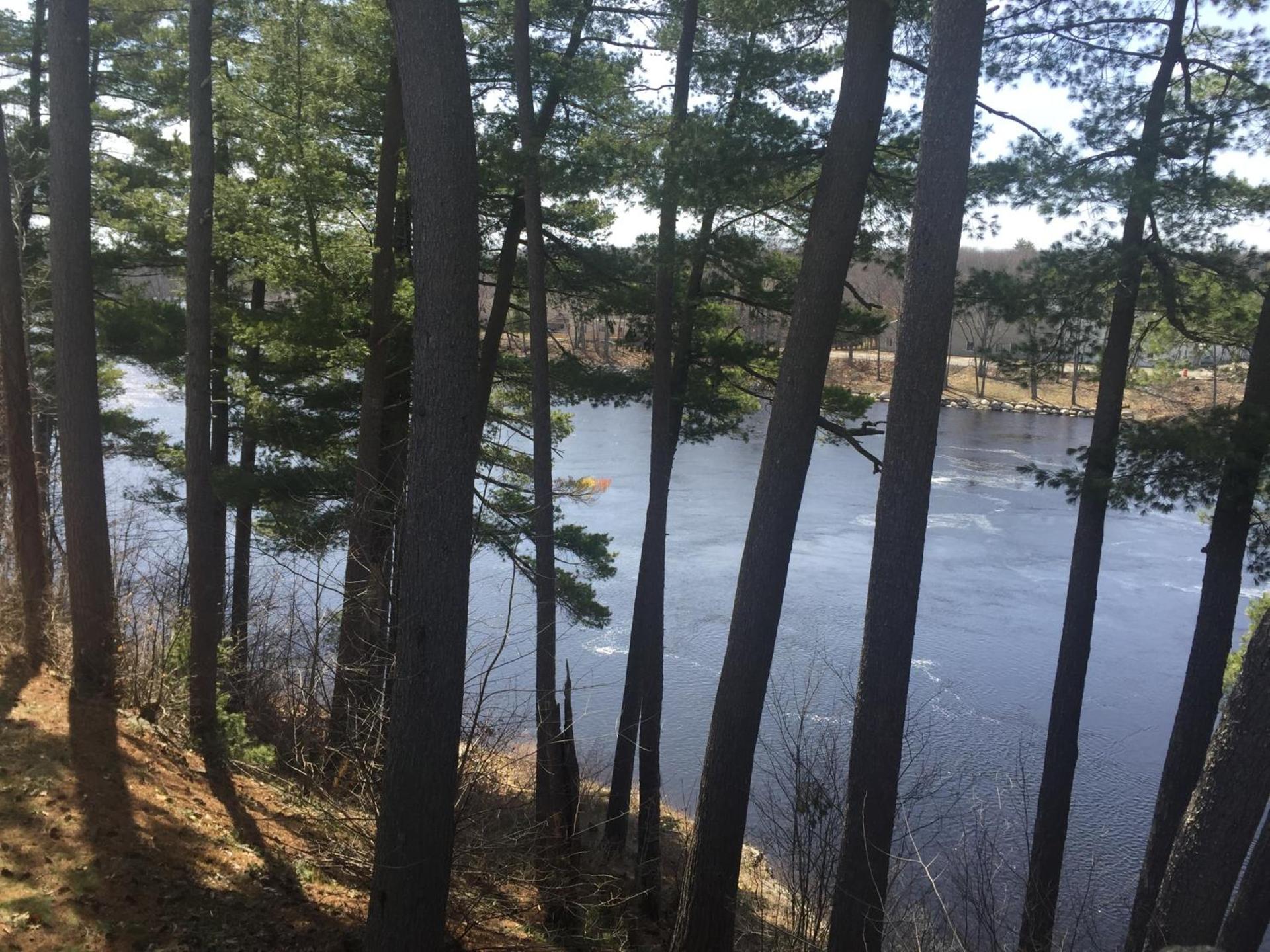 Milford Motel On the River photo 15
