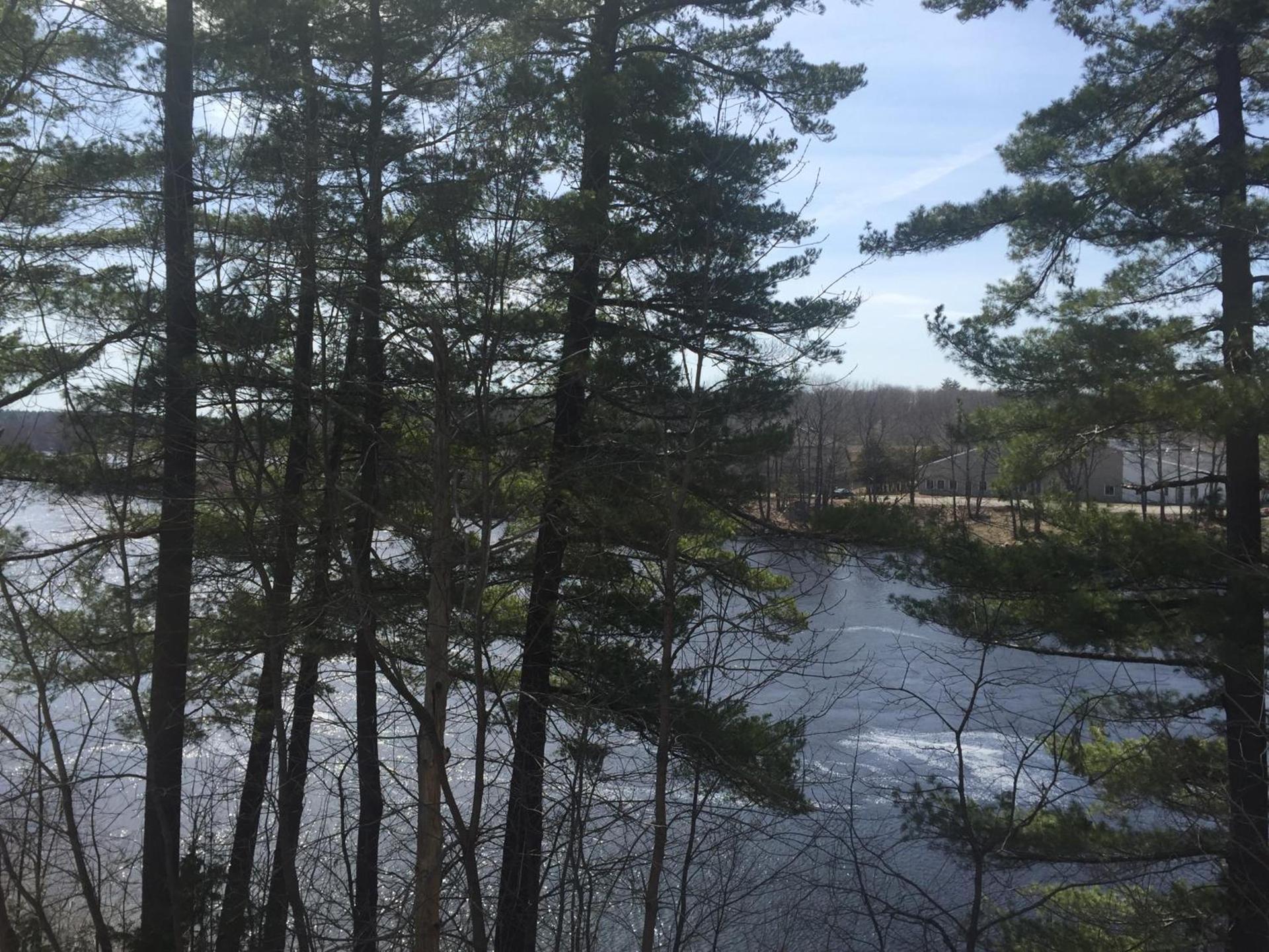 Milford Motel On the River photo 14