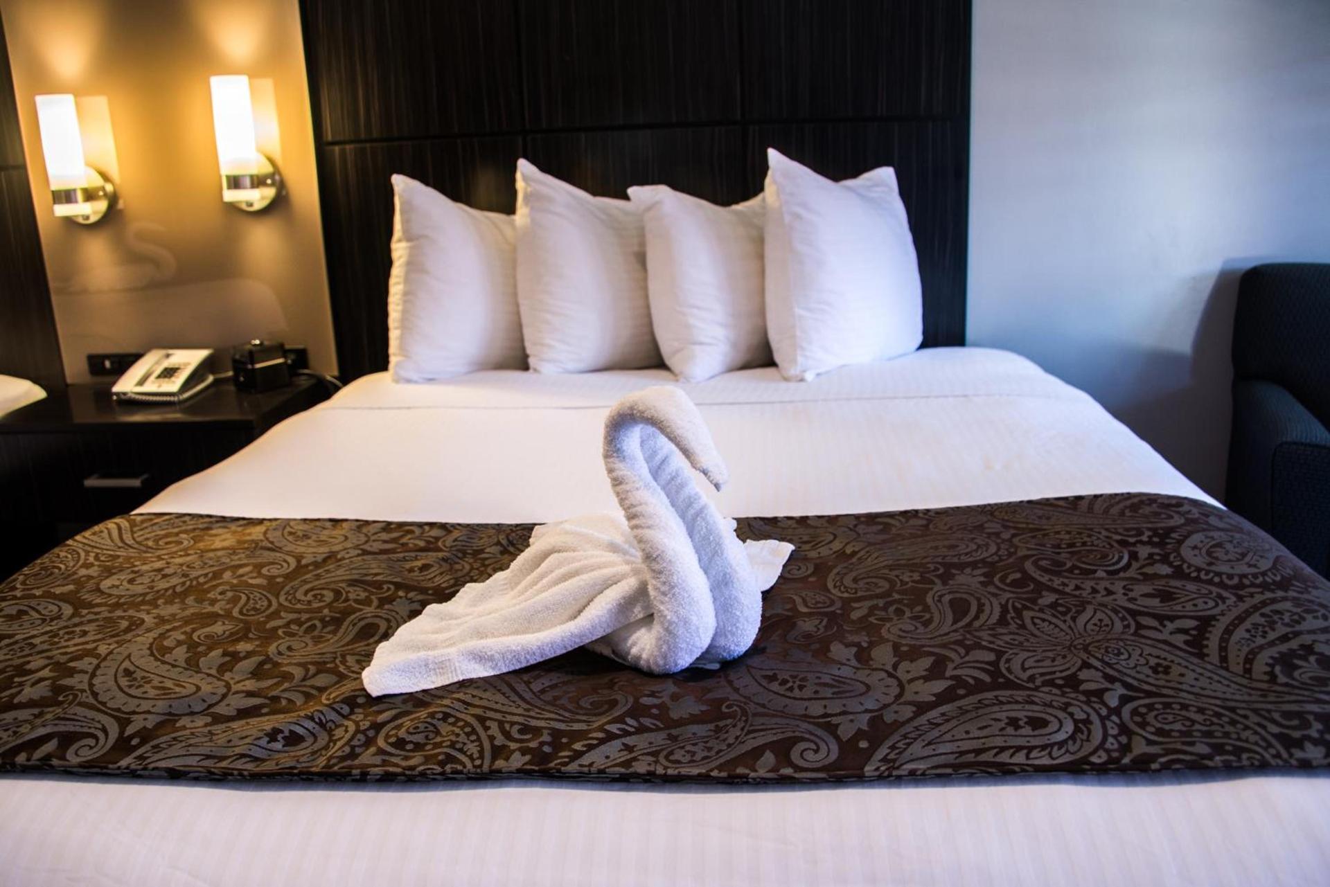 SureStay Plus by Best Western Santa Clara Silicon Valley photo 14