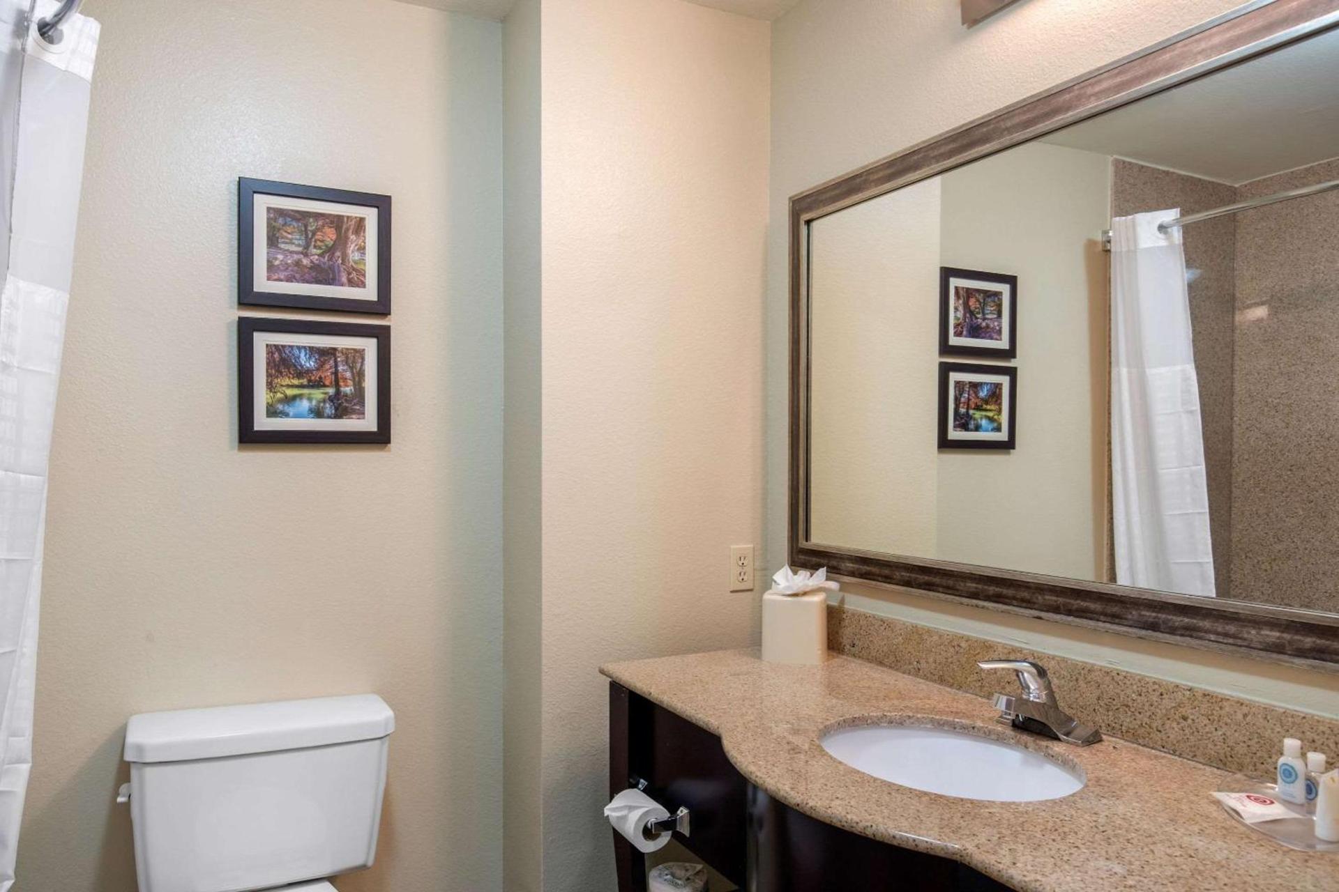 Comfort Inn & Suites Cedar Hill Duncanville photo 16