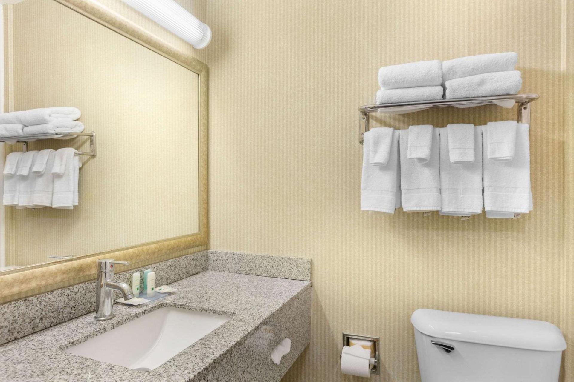 Quality Inn & Suites Oceanside Near Camp Pendleton photo 5