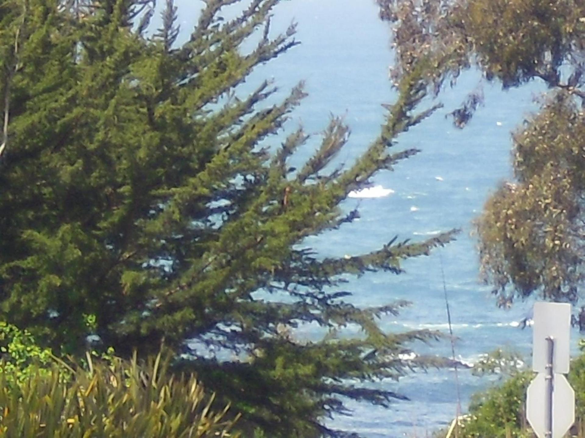 Super 8 by Wyndham Fort Bragg photo 30