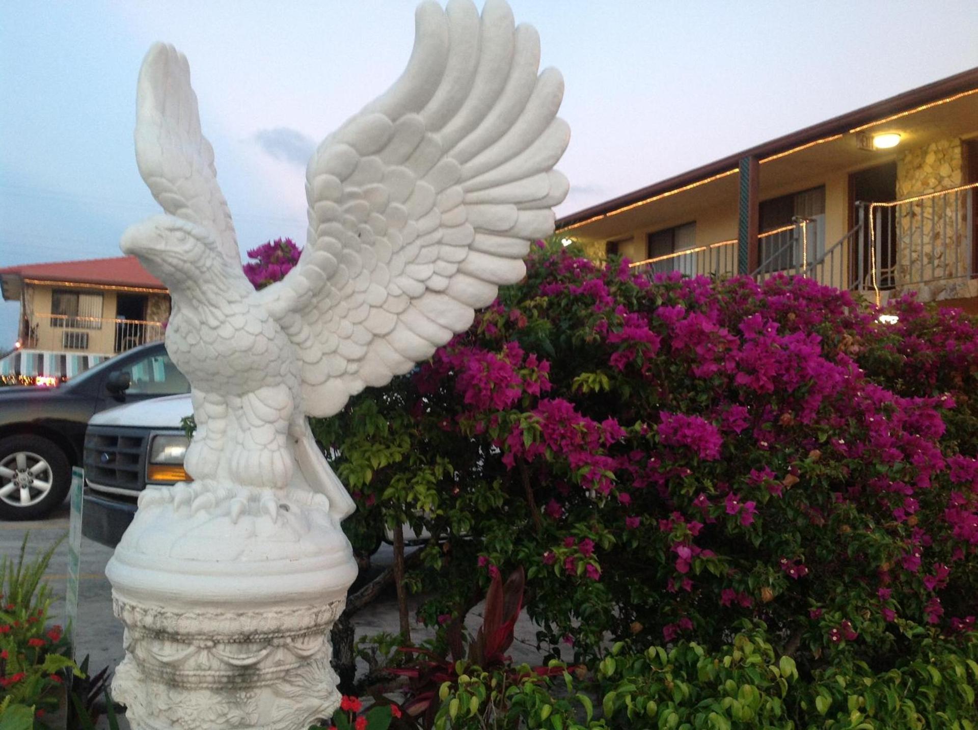 Lago Motor Inn photo 16