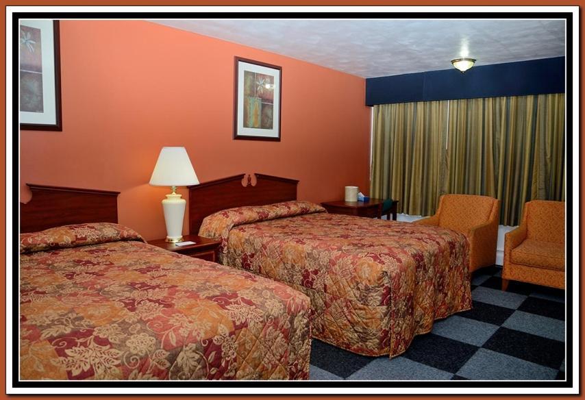 The Cardinal Inn photo 64