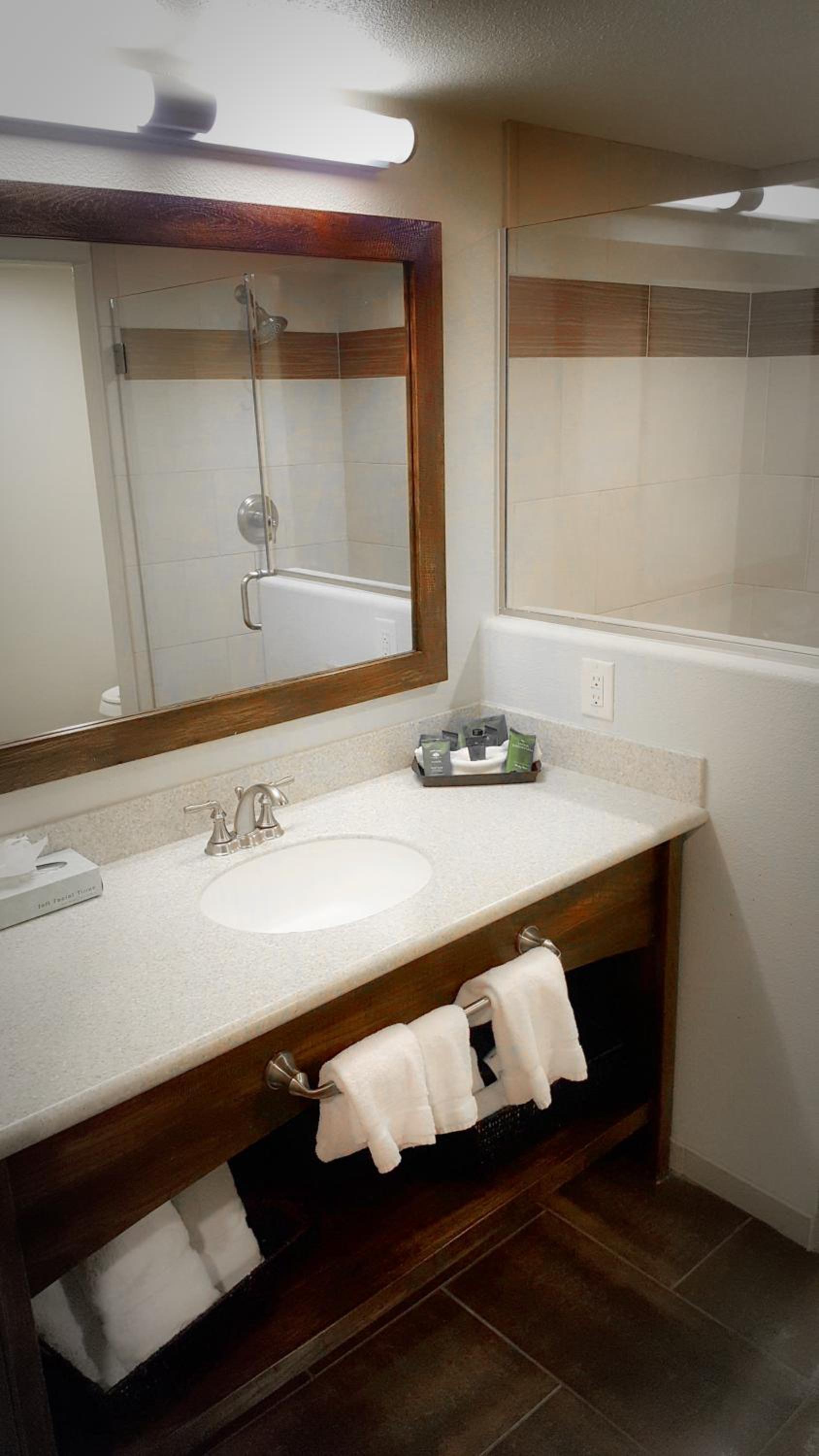 Hoover Dam Lodge photo 25