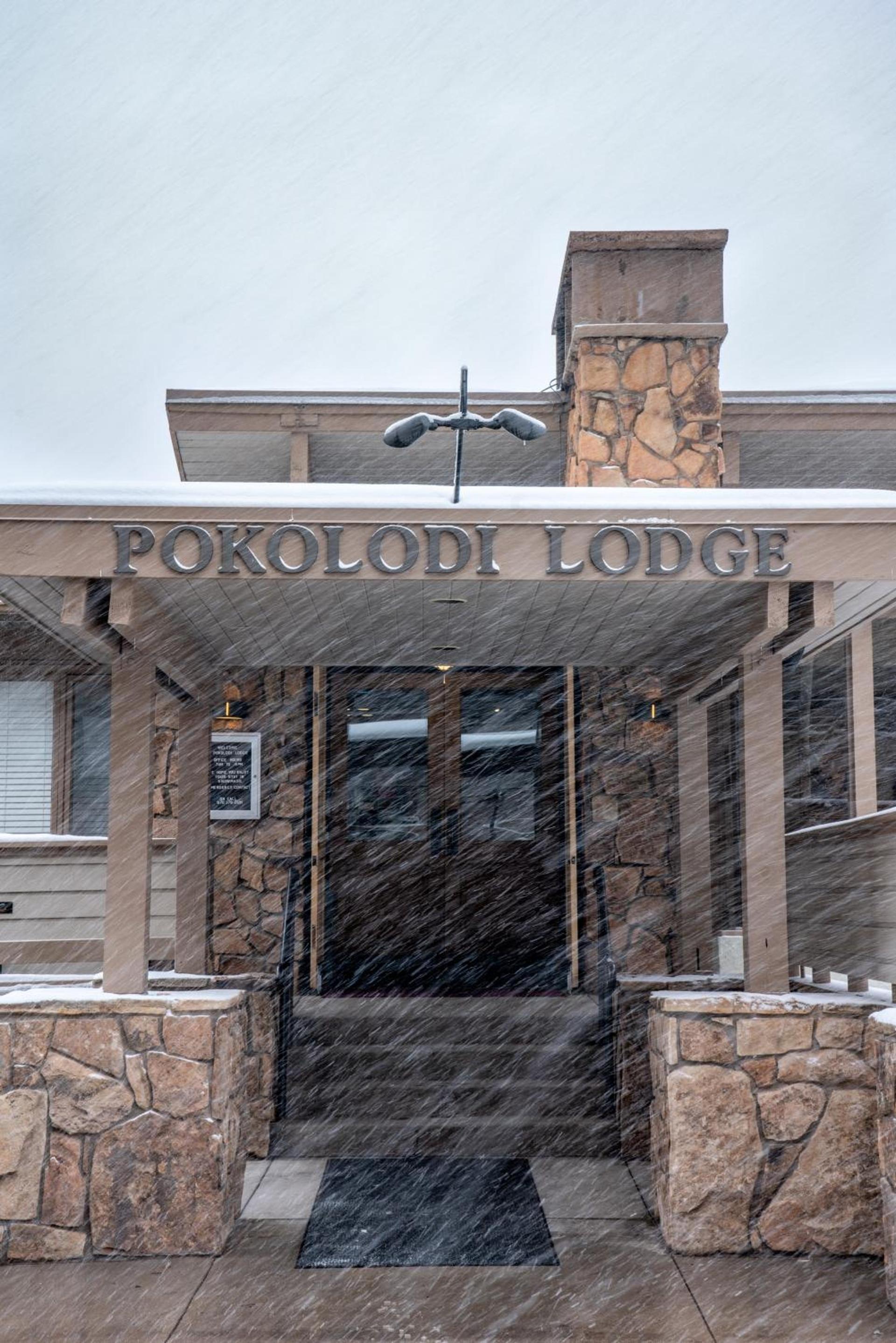 Pokolodi Lodge photo 9