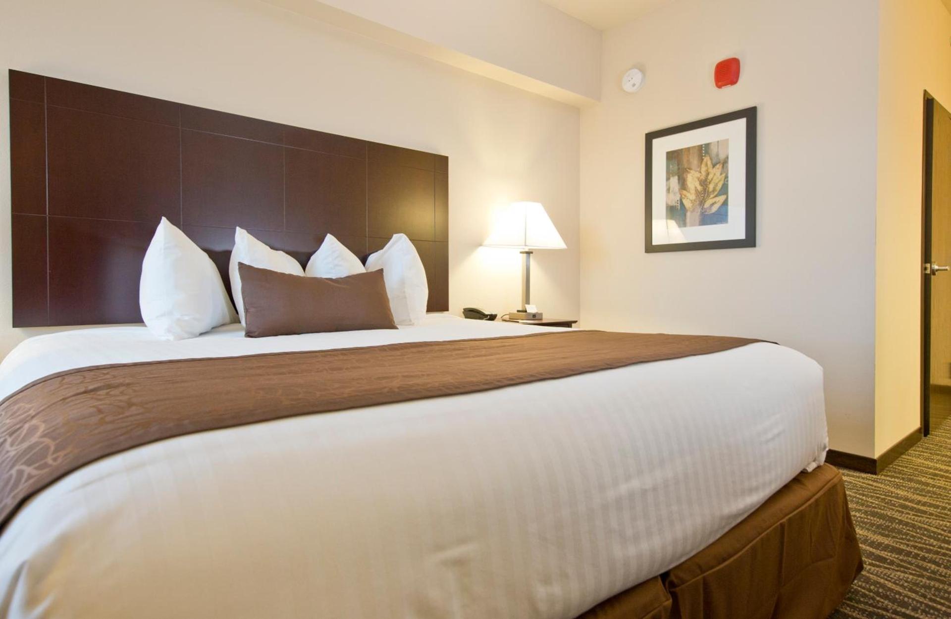 Cobblestone Inn & Suites - Boone photo 5