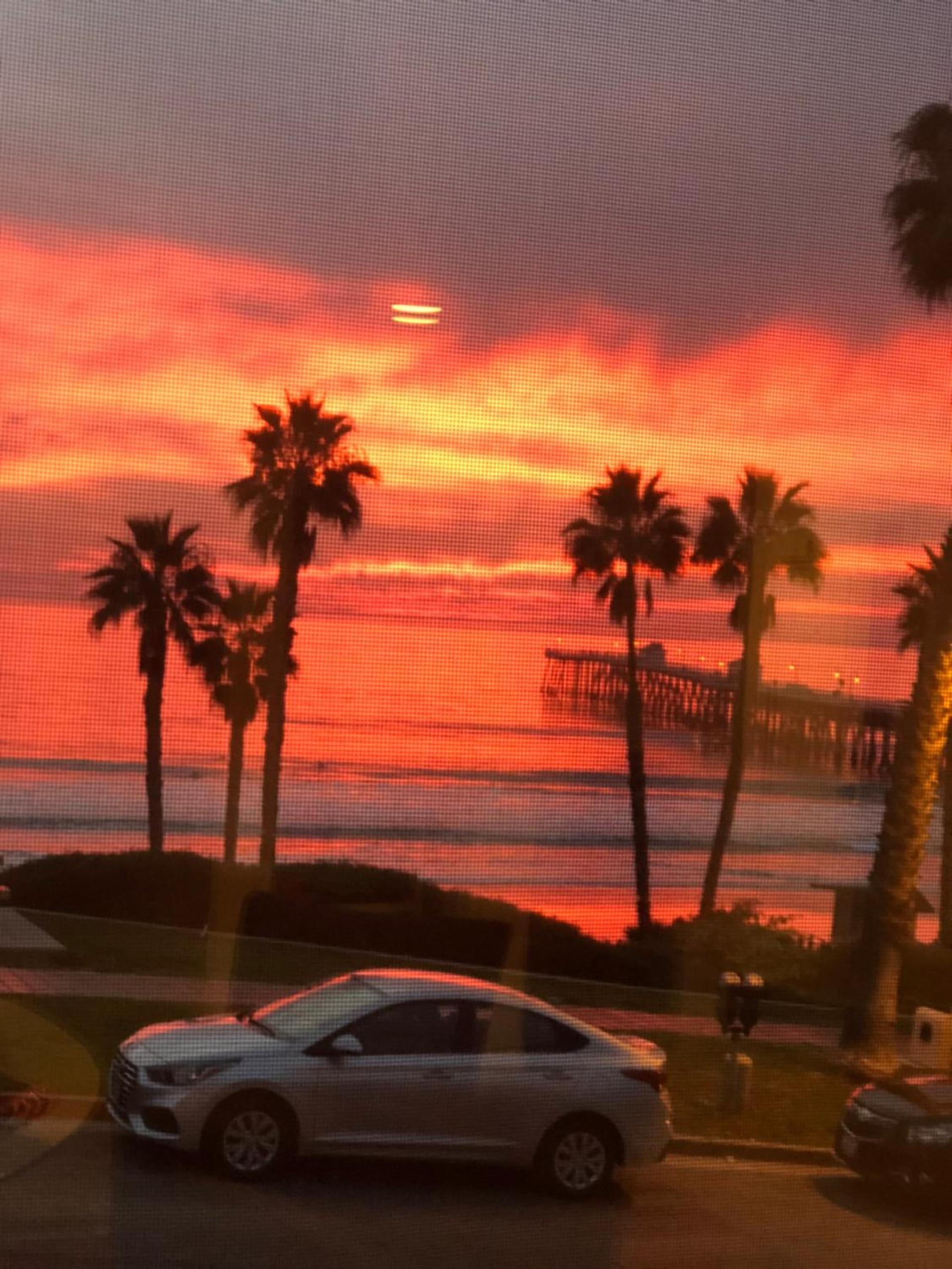 Sea Horse Resort photo 99