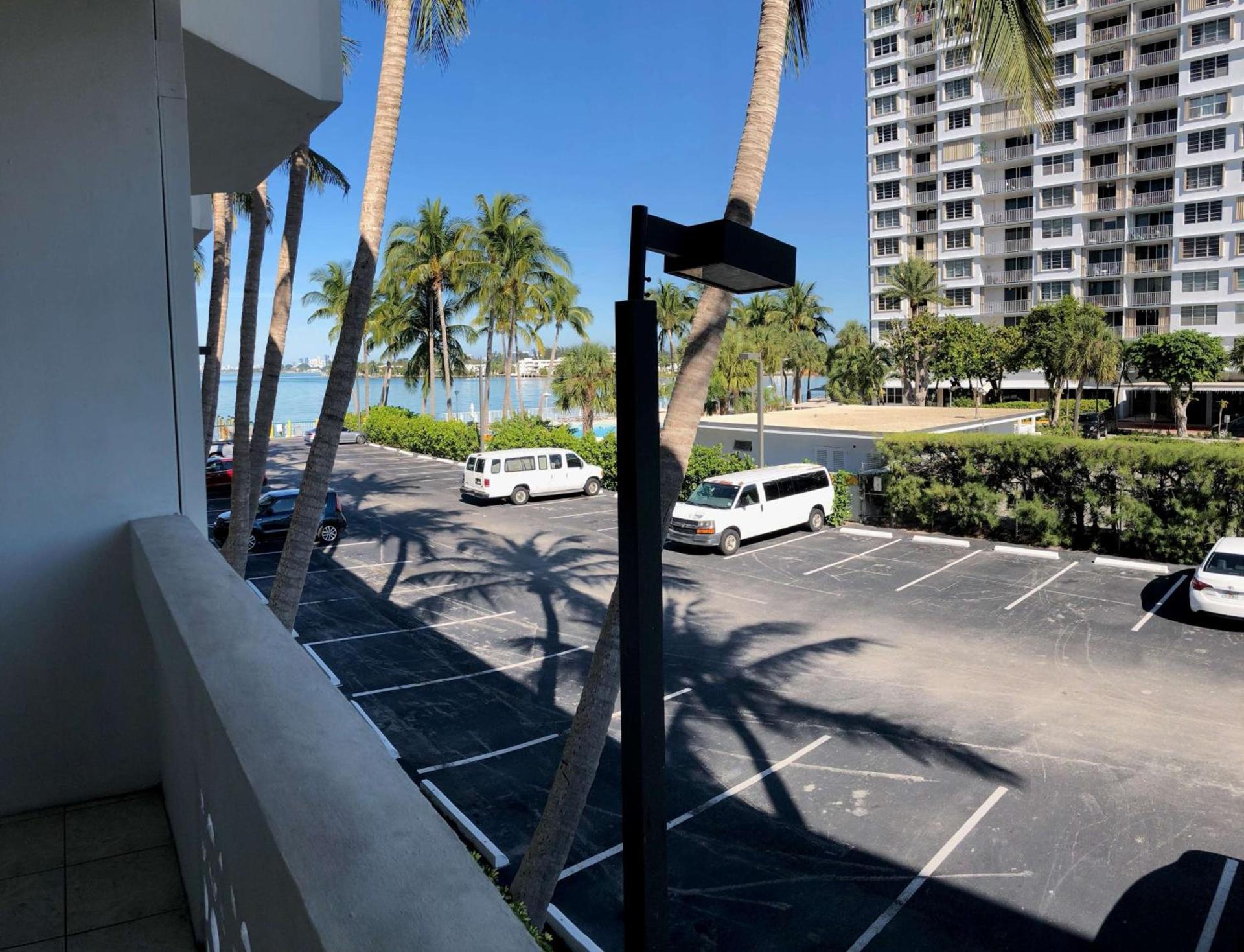 Palm Tree Club Miami photo 11