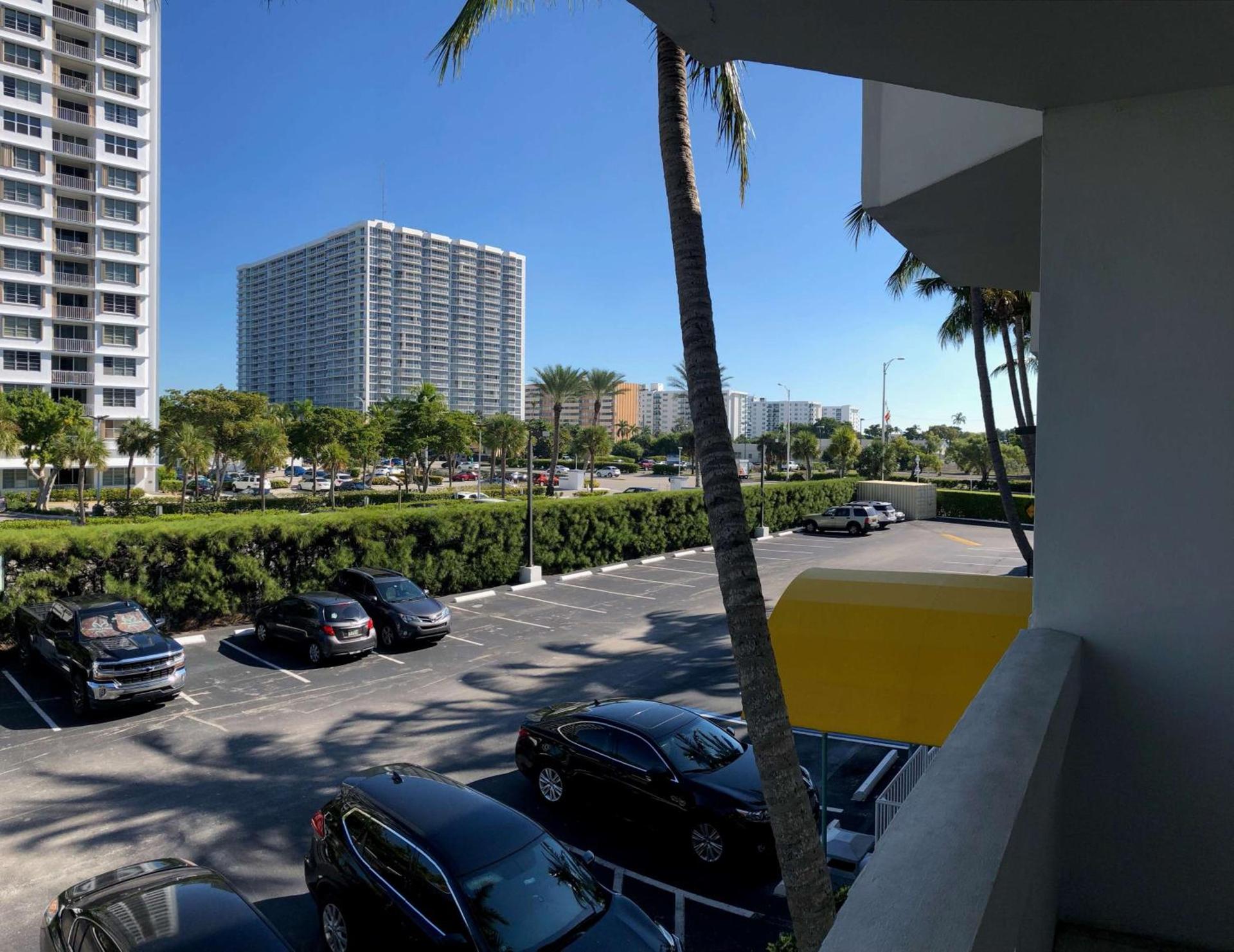Palm Tree Club Miami photo 18