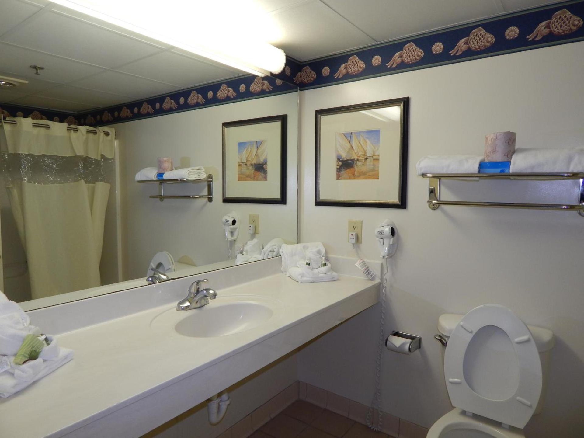 Paradise Plaza Inn photo 24