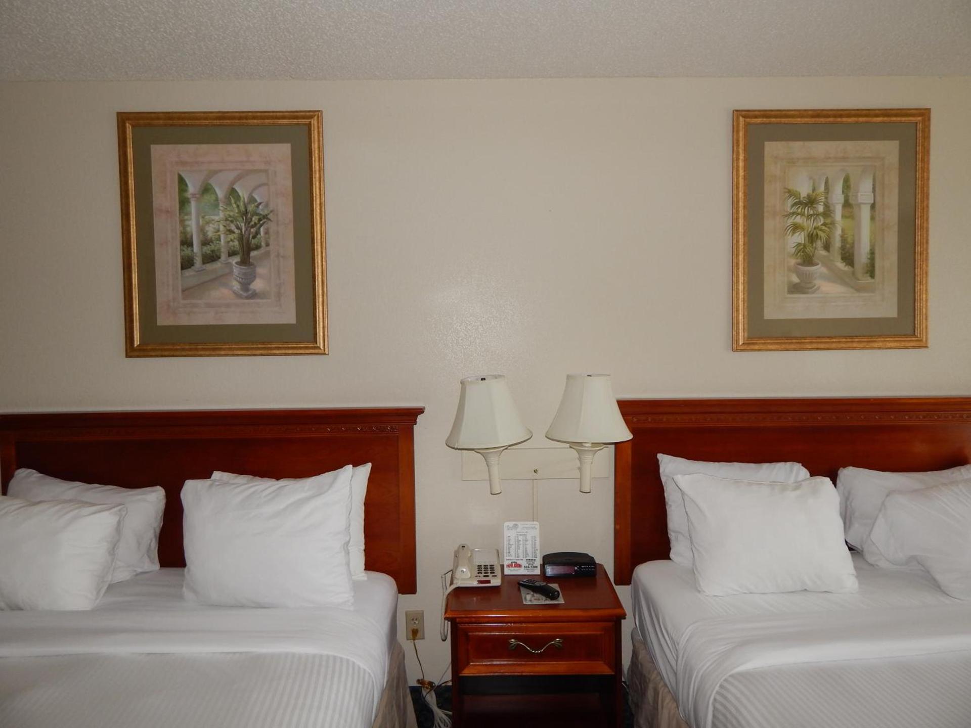 Paradise Plaza Inn photo 26