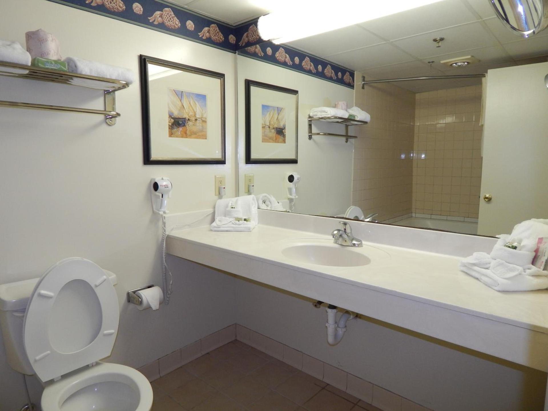 Paradise Plaza Inn photo 28