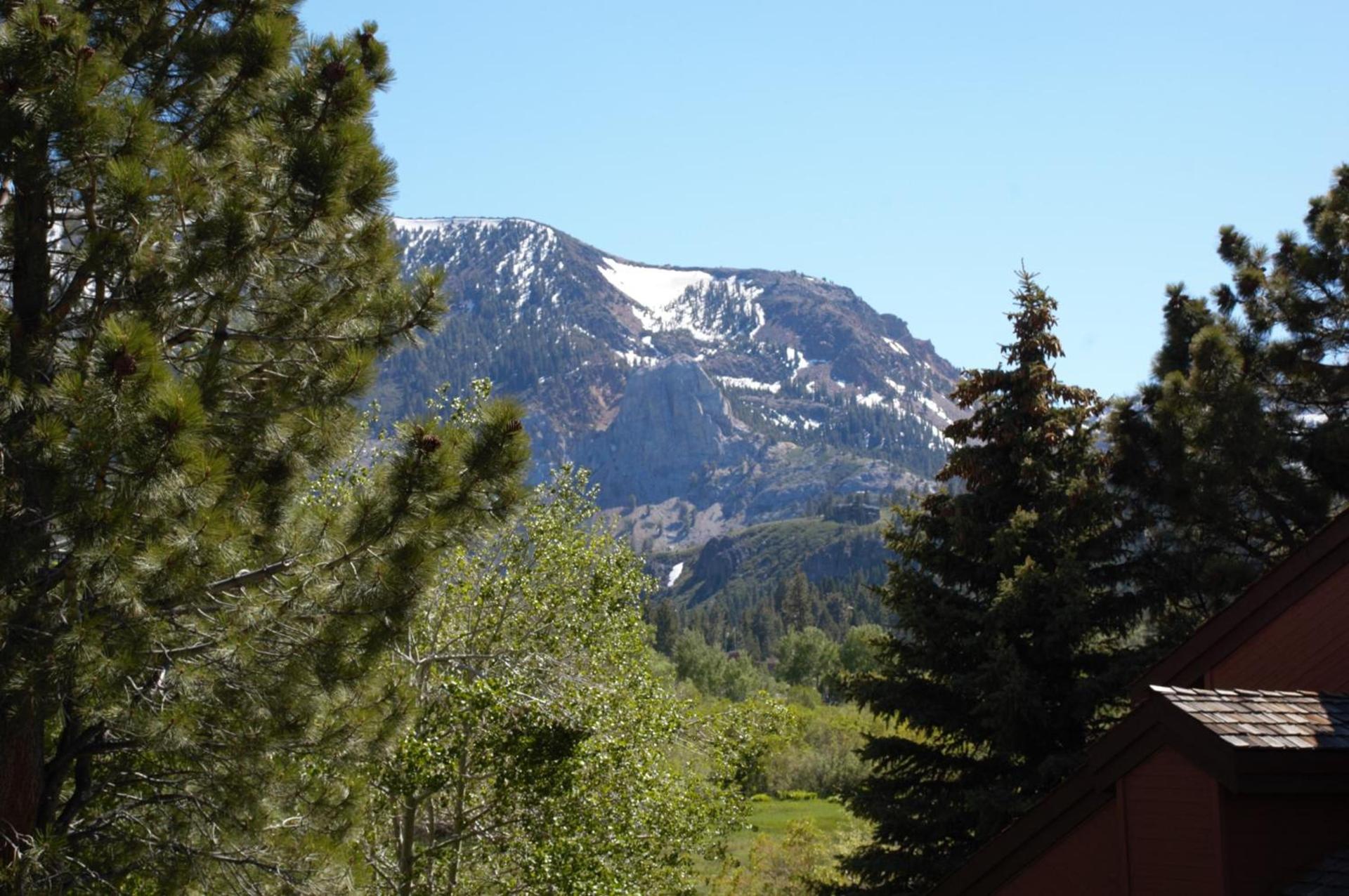 Snowcreek Resort Vacation Rentals photo 7