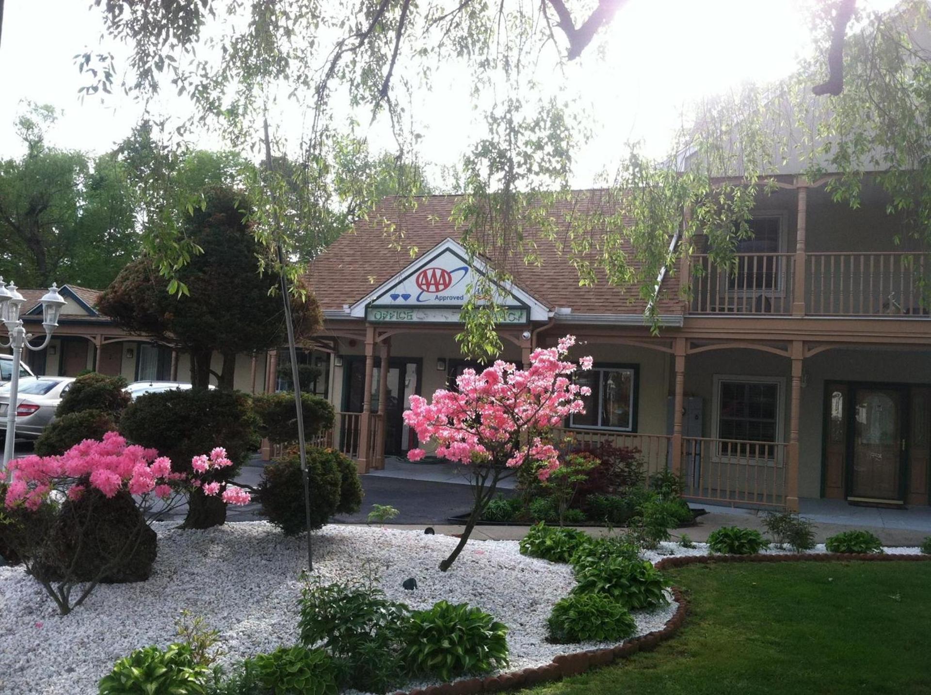 Cheshire Welcome Inn photo 7