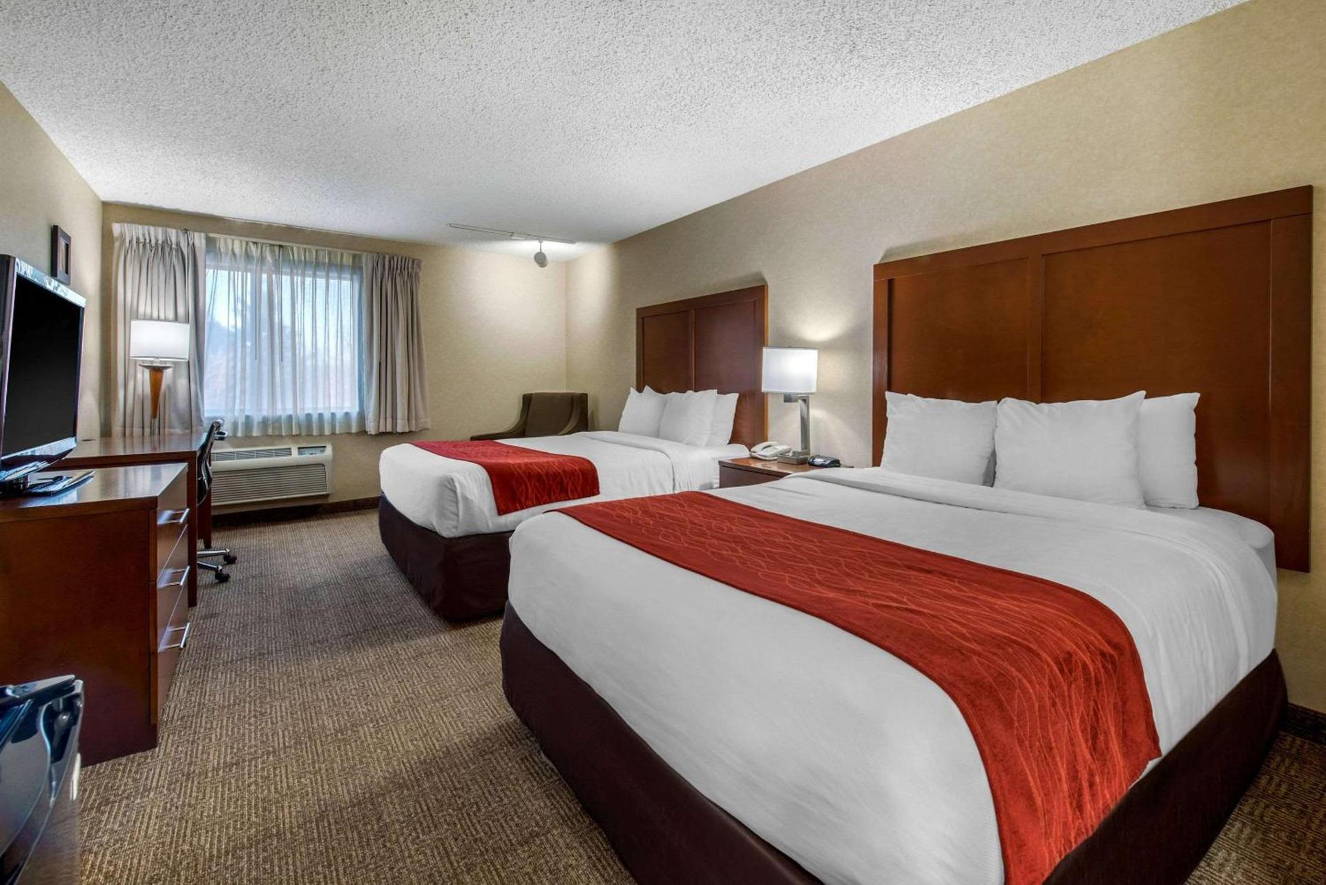 Comfort Inn Denver Southeast Area photo 8