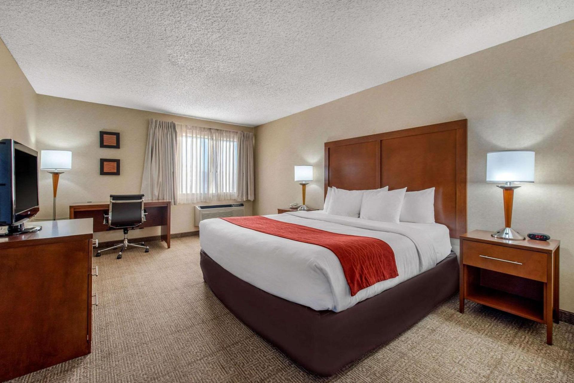 Comfort Inn Denver Southeast Area photo 3